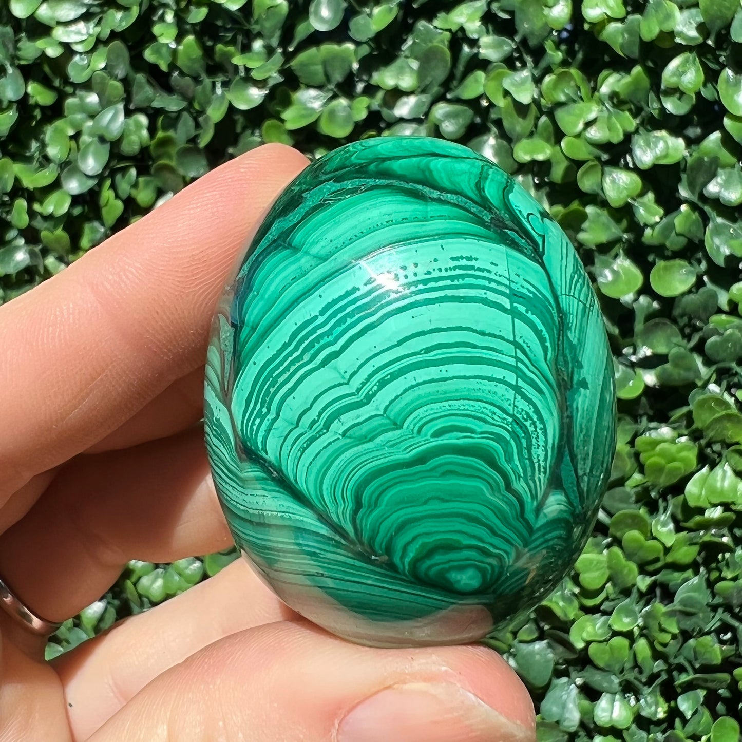 Malachite Egg