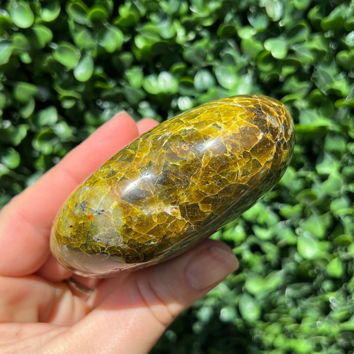 Kiwi Opal Heart