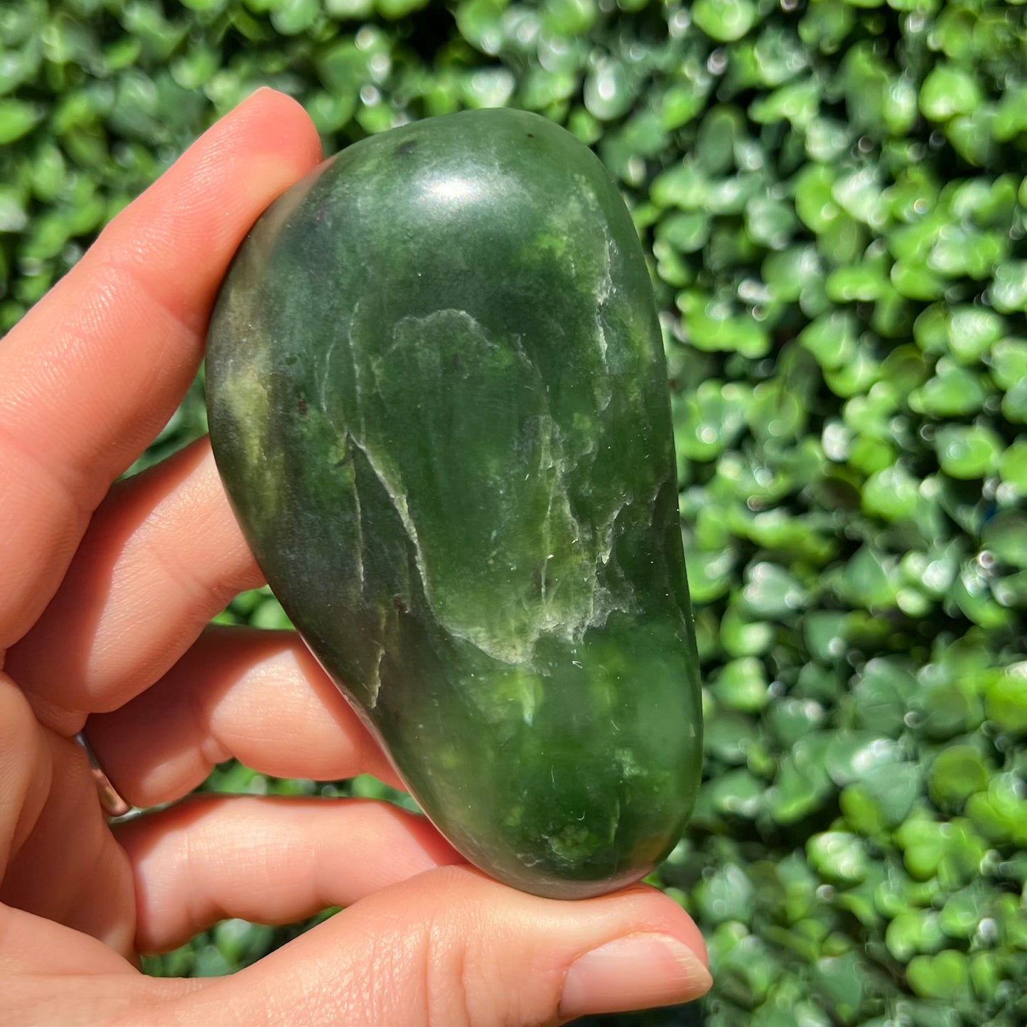 Jade Palm Stone