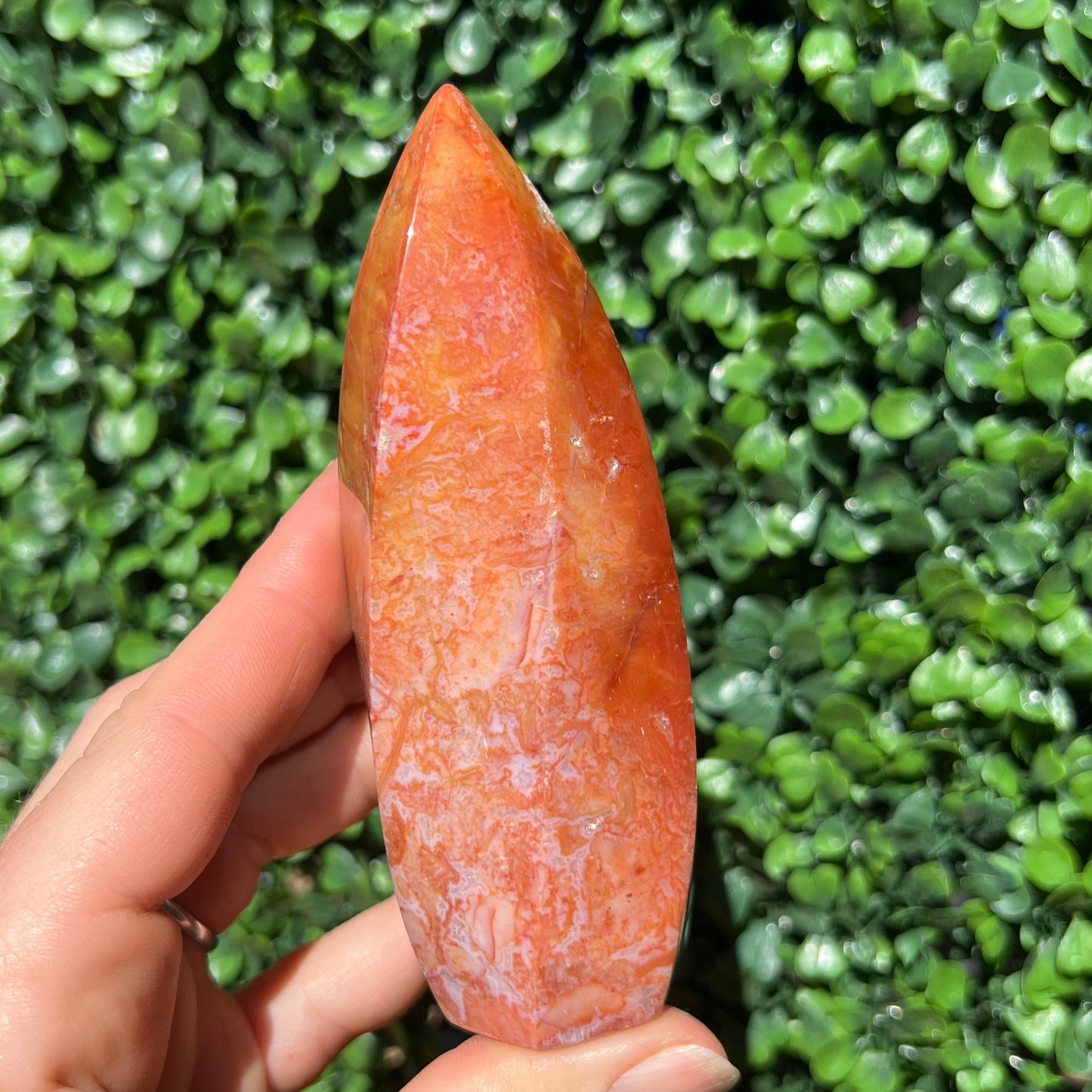 Carnelian Flame