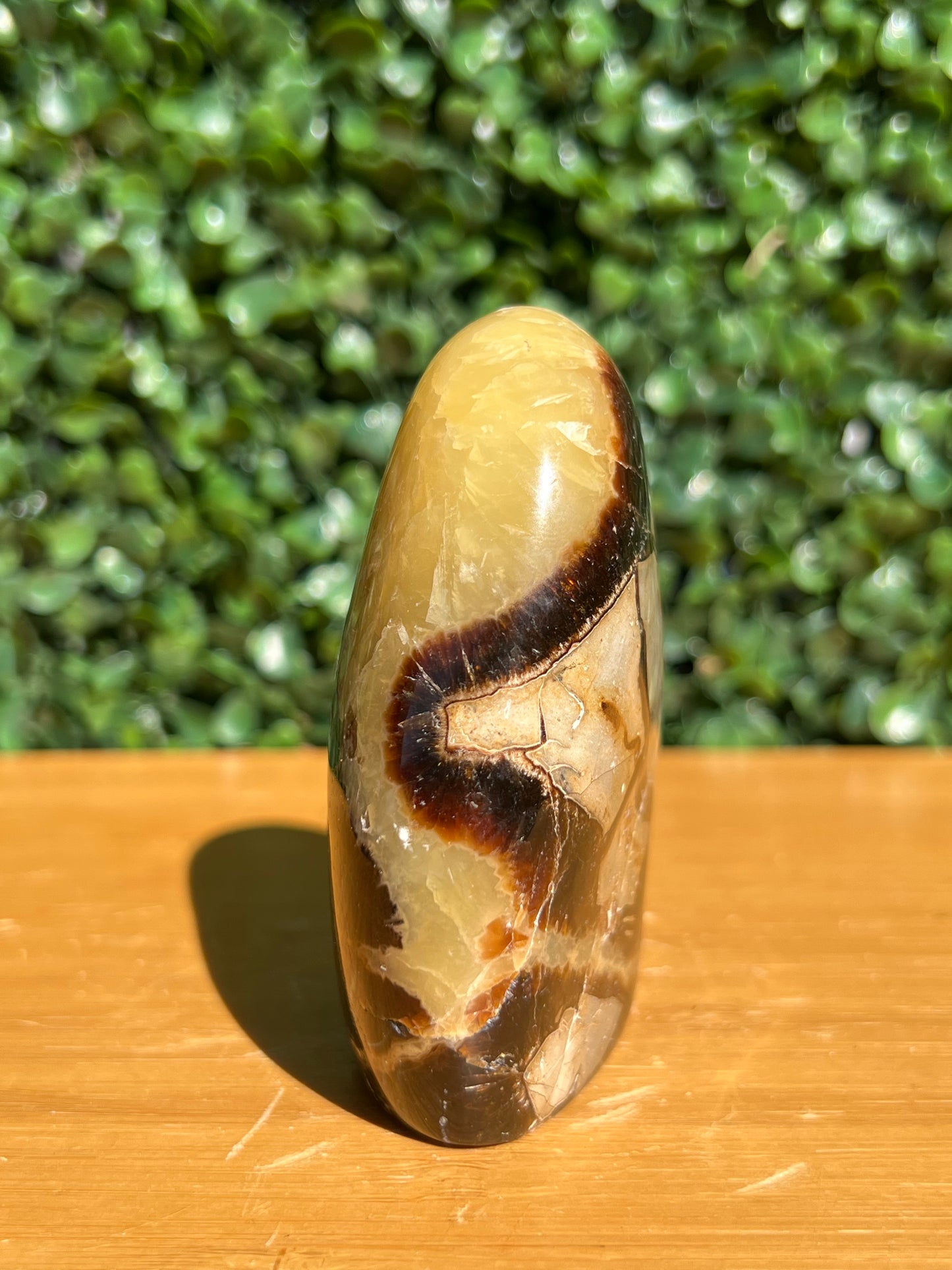 Septarian Yellow Calcite Free Form