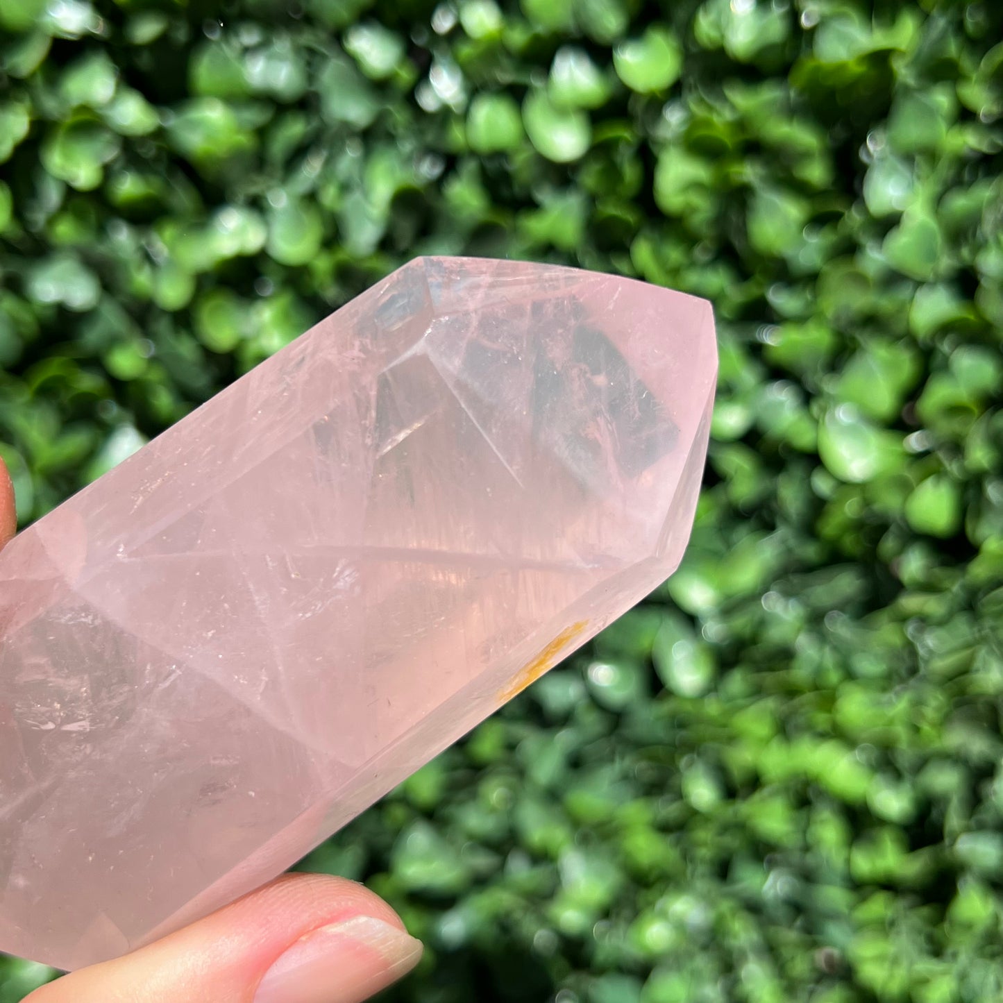 Rose Quartz DT Point