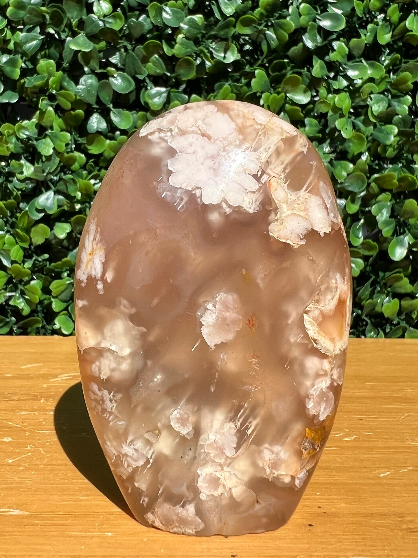 Flower Agate Free Form