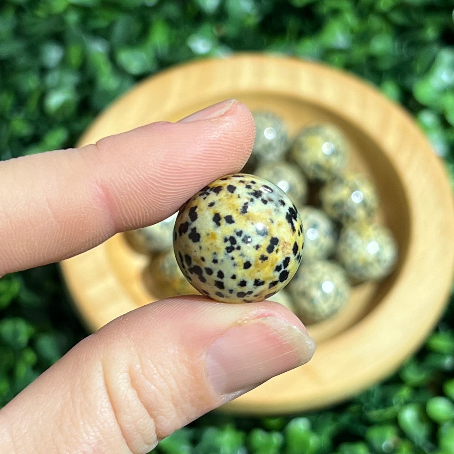 Dalmation Jasper Orb’s