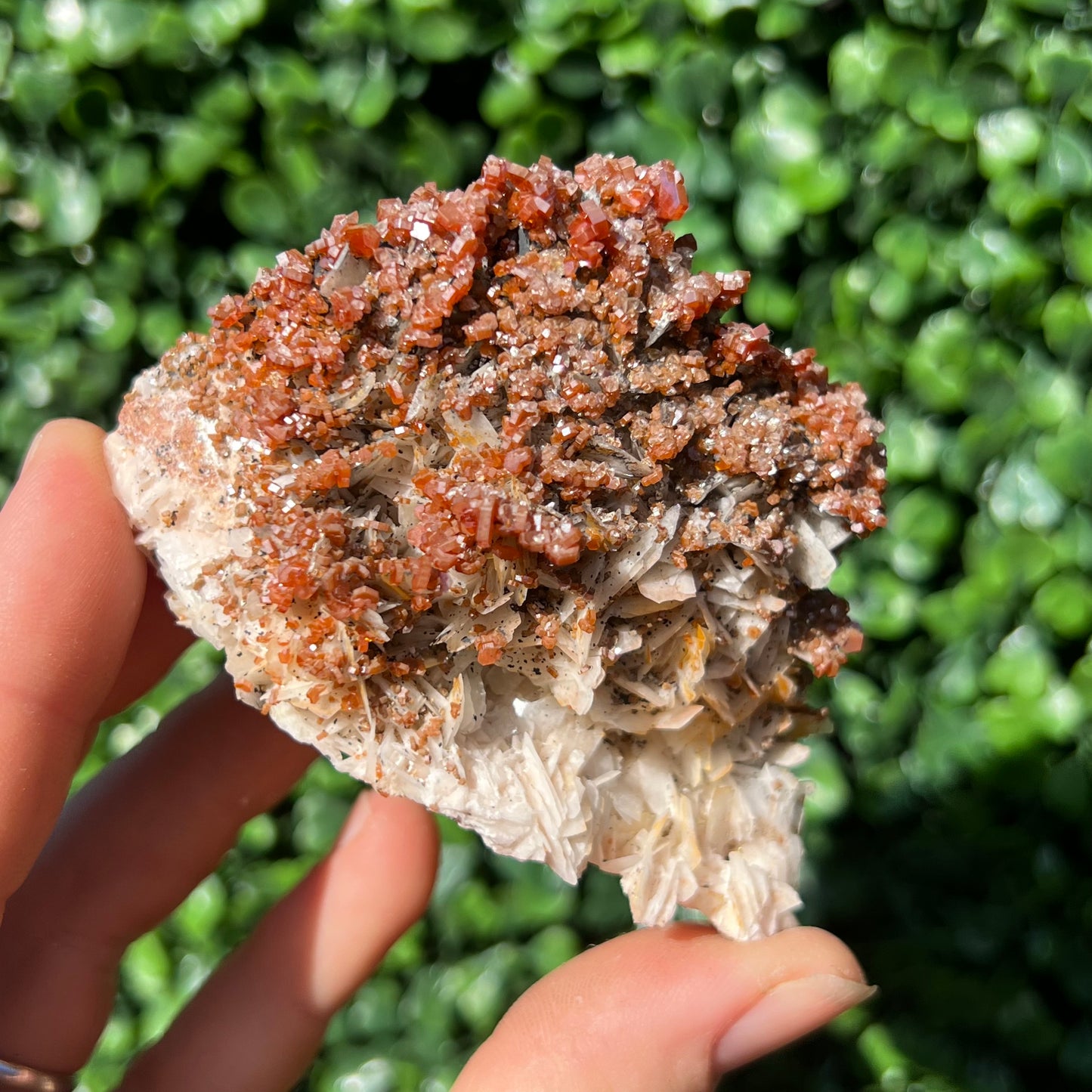 Vanadinite Specimen