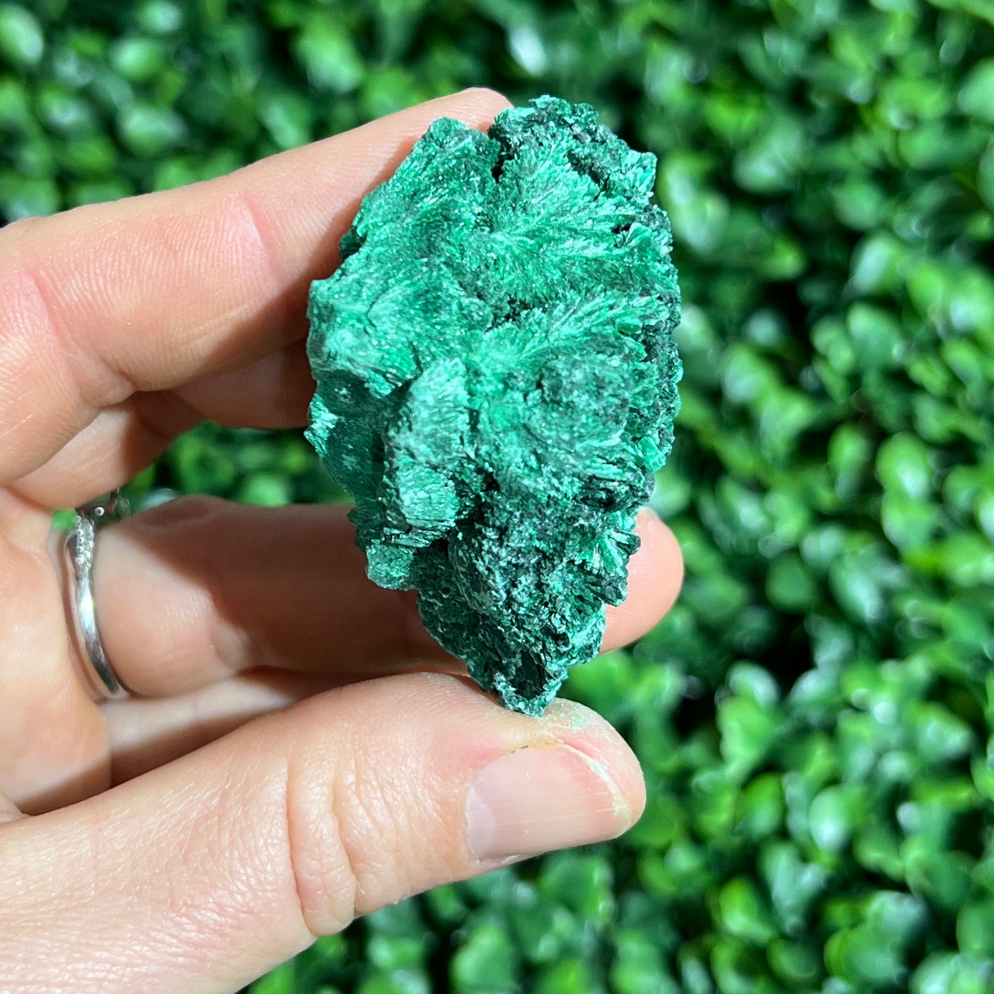 Fibrous Malachite Specimen