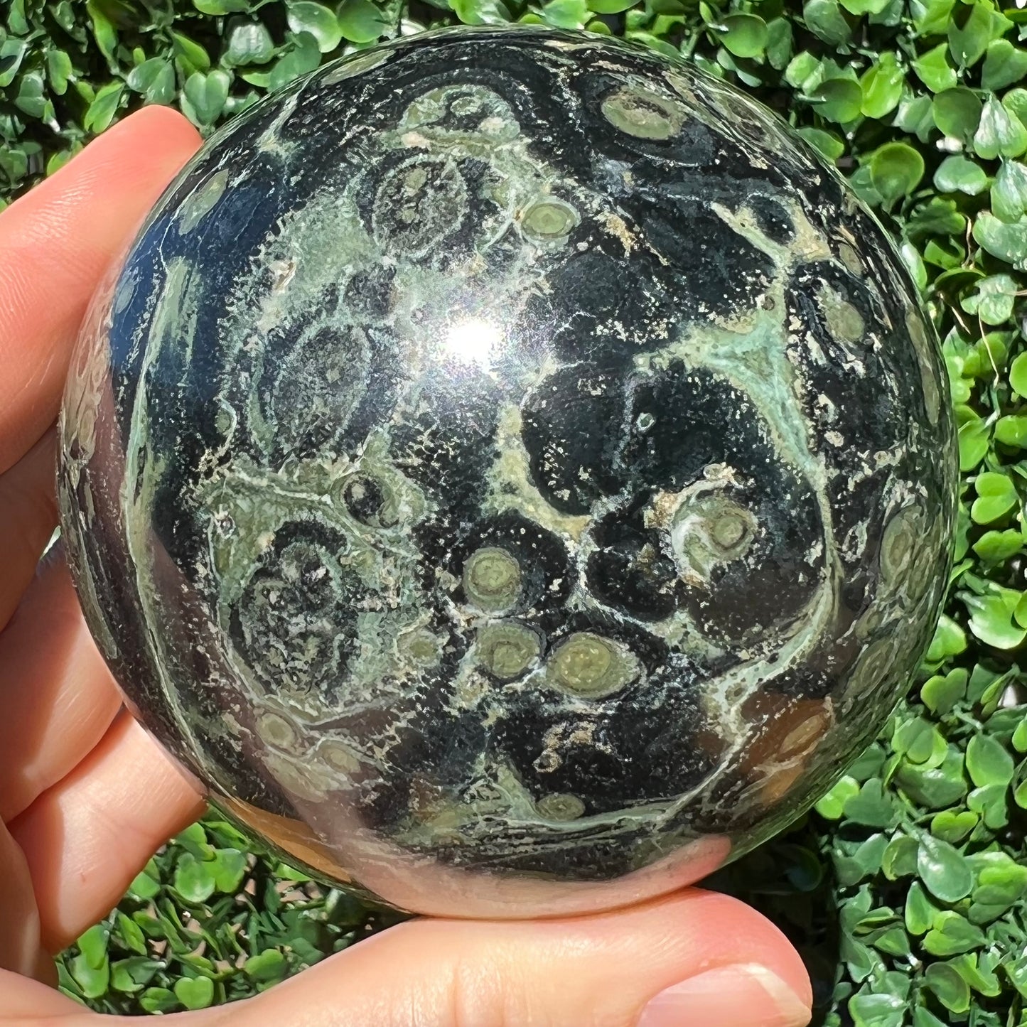 Kambaba Jasper Sphere