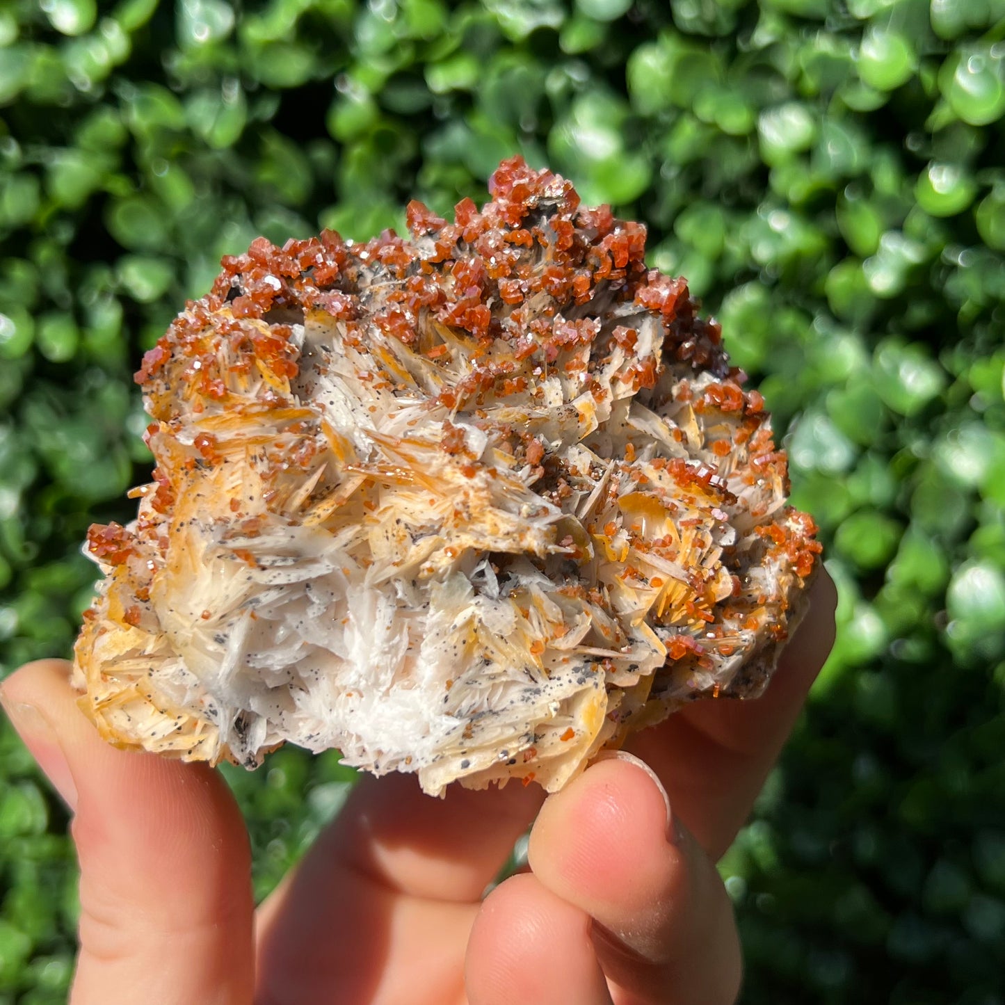 Vanadinite Specimen