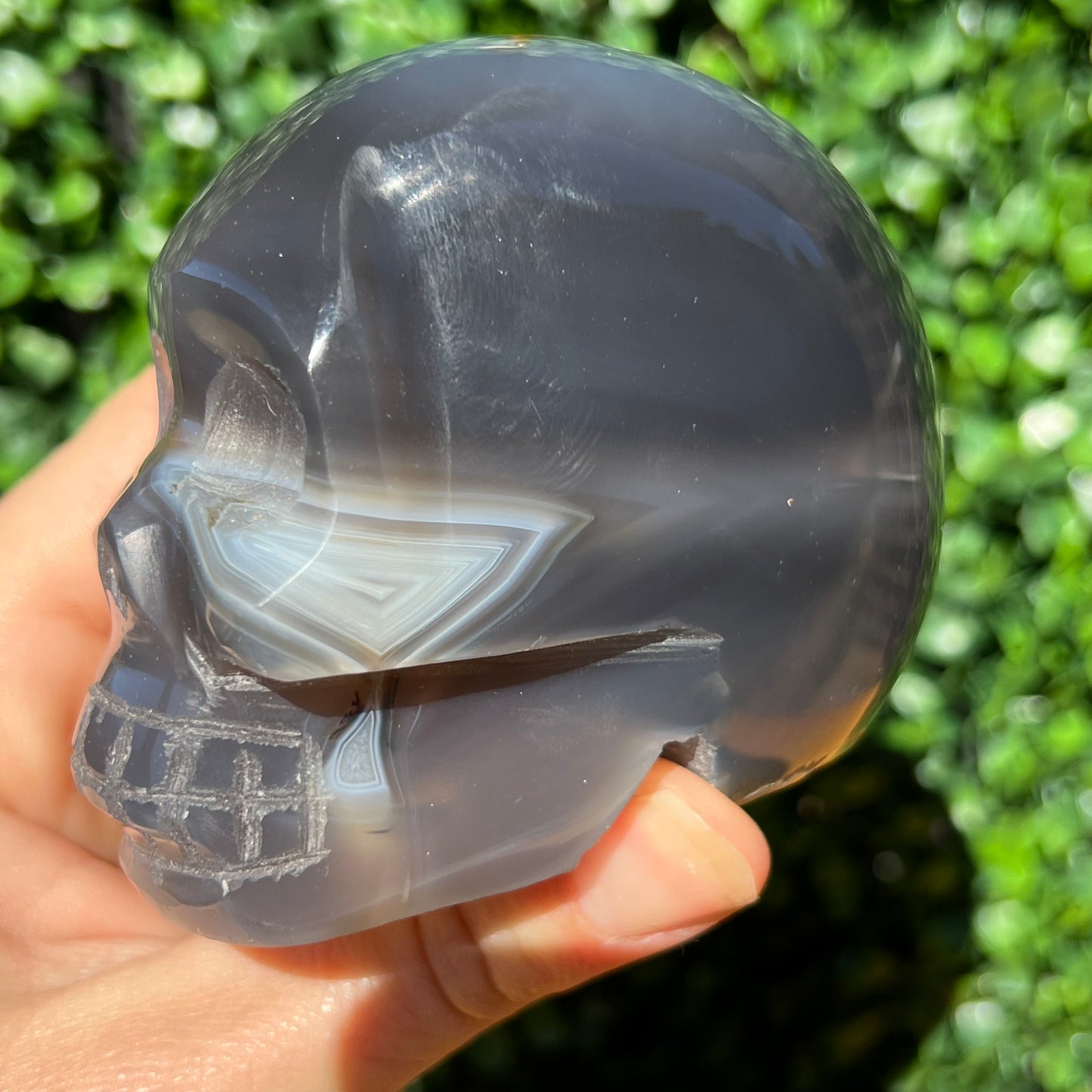 Agate Skull