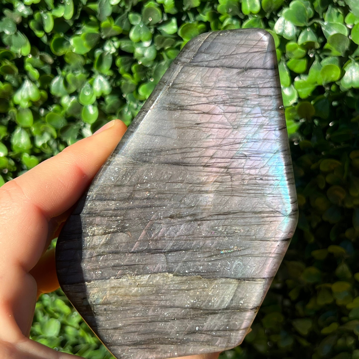 Labradorite Free Form