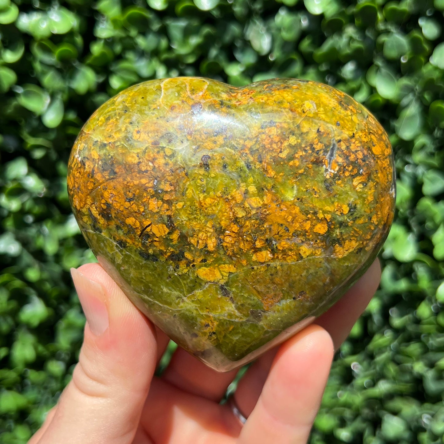Kiwi Opal Heart