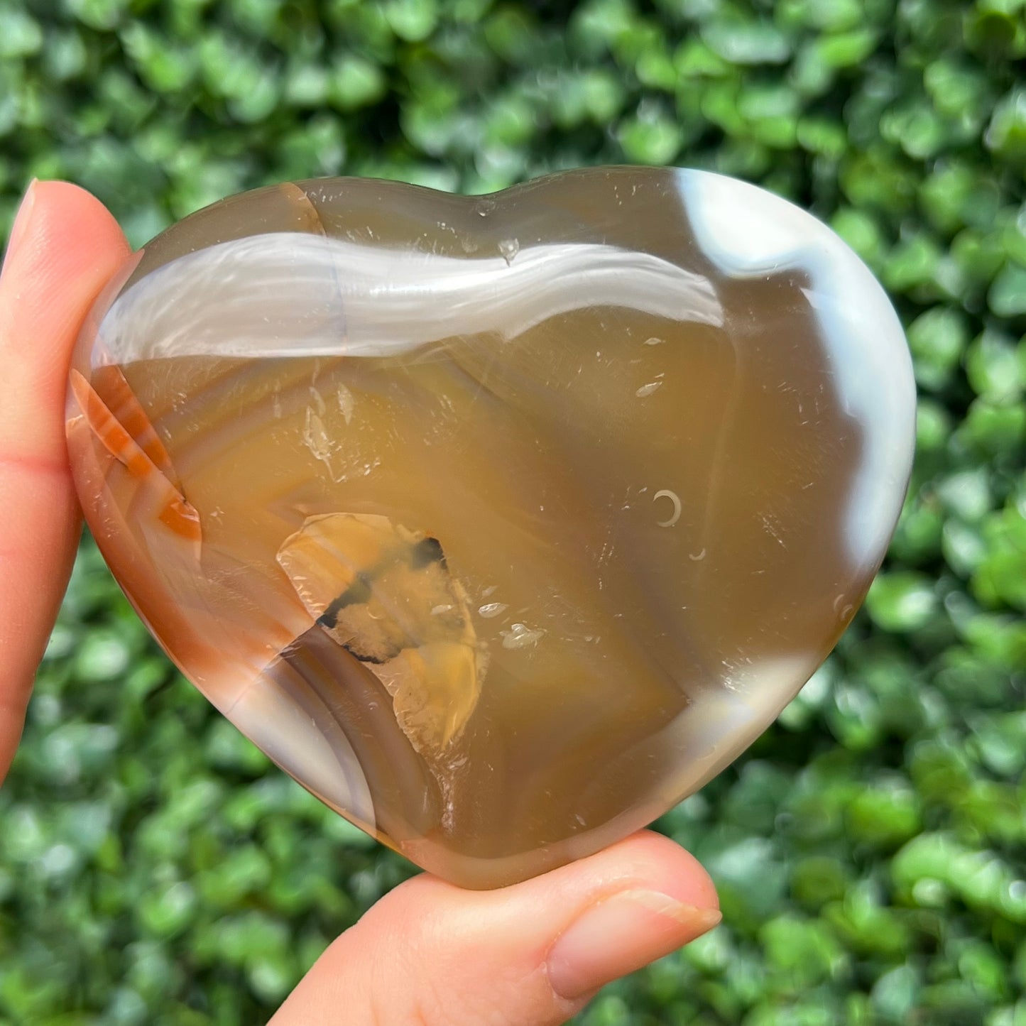 Orca Agate Heart