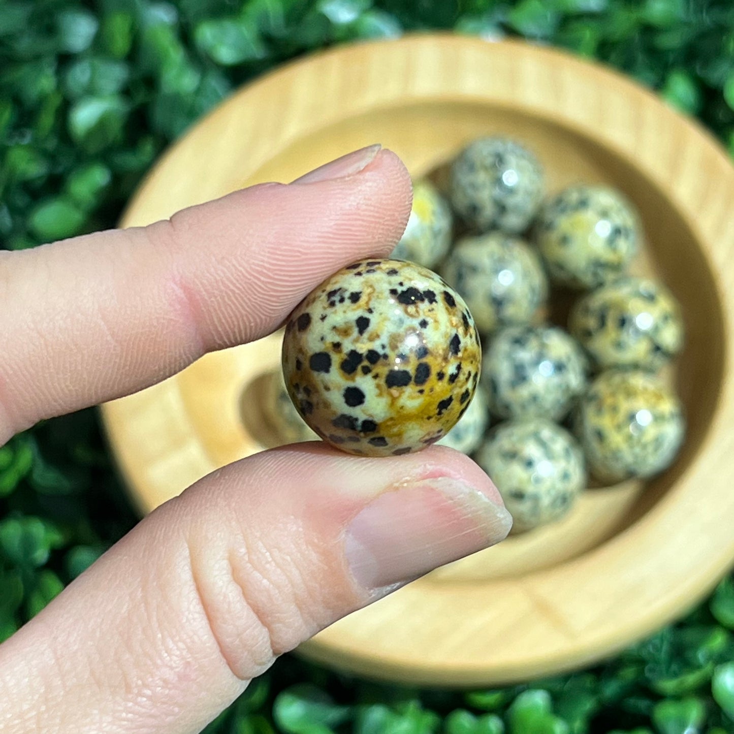 Dalmation Jasper Orb’s