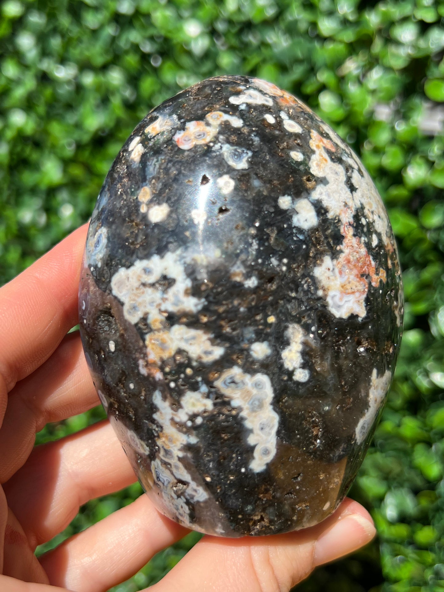 Ocean Jasper Free Form