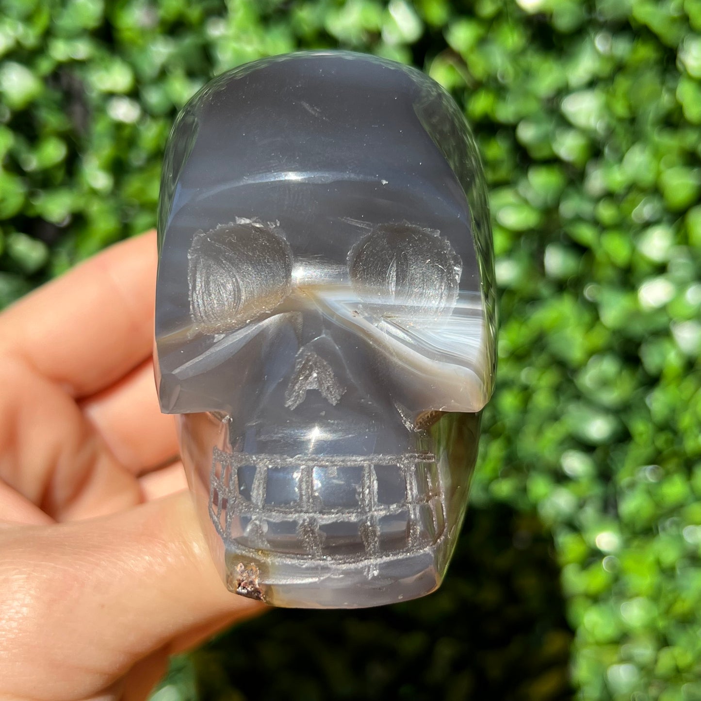 Agate Skull