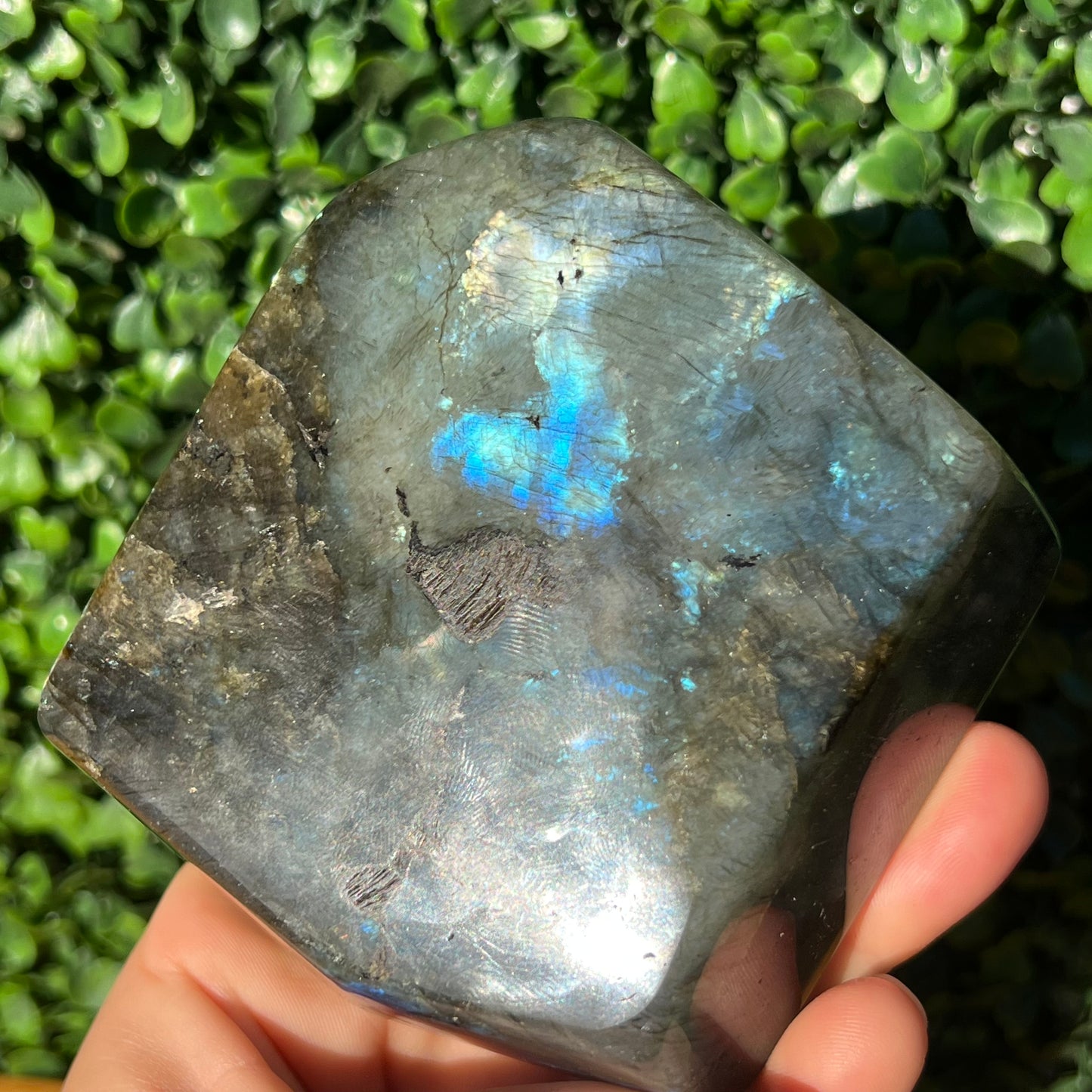Labradorite Free Form
