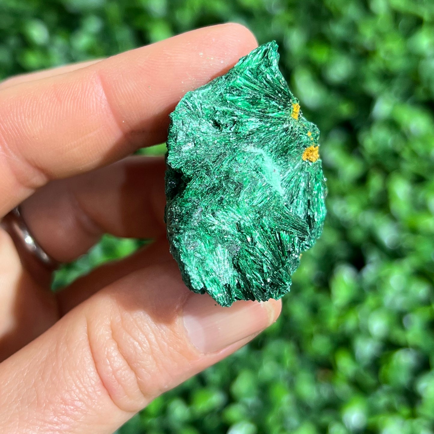 Fibrous Malachite Specimen