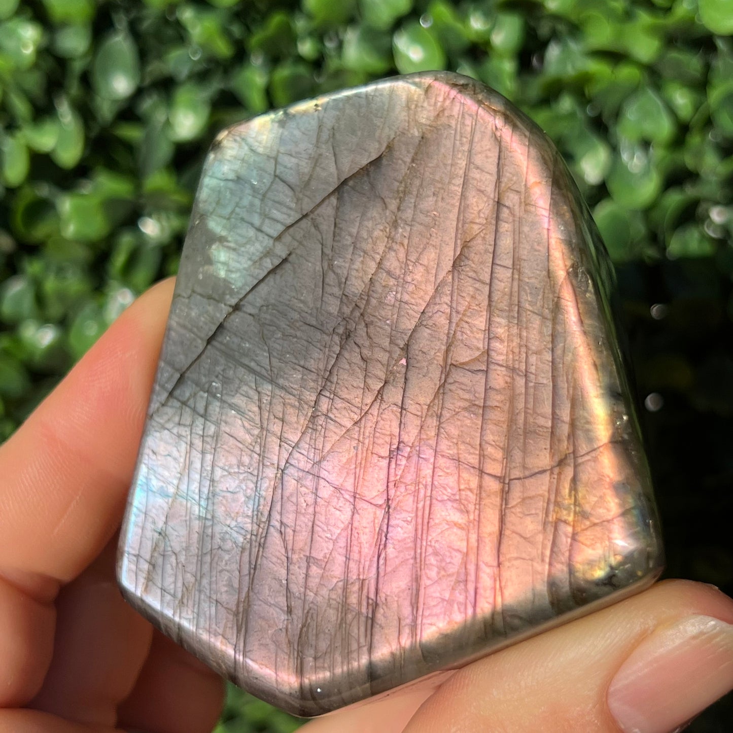 Labradorite Free Form
