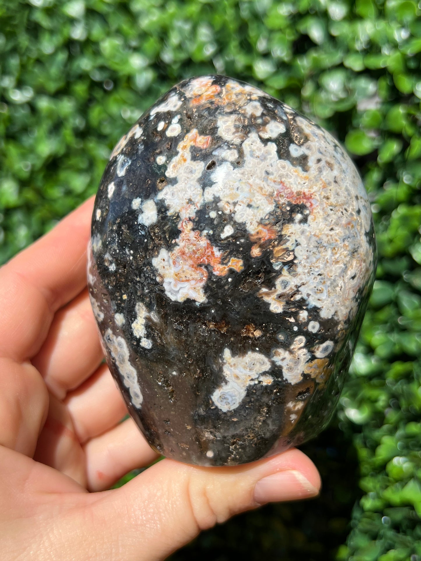 Ocean Jasper Free Form