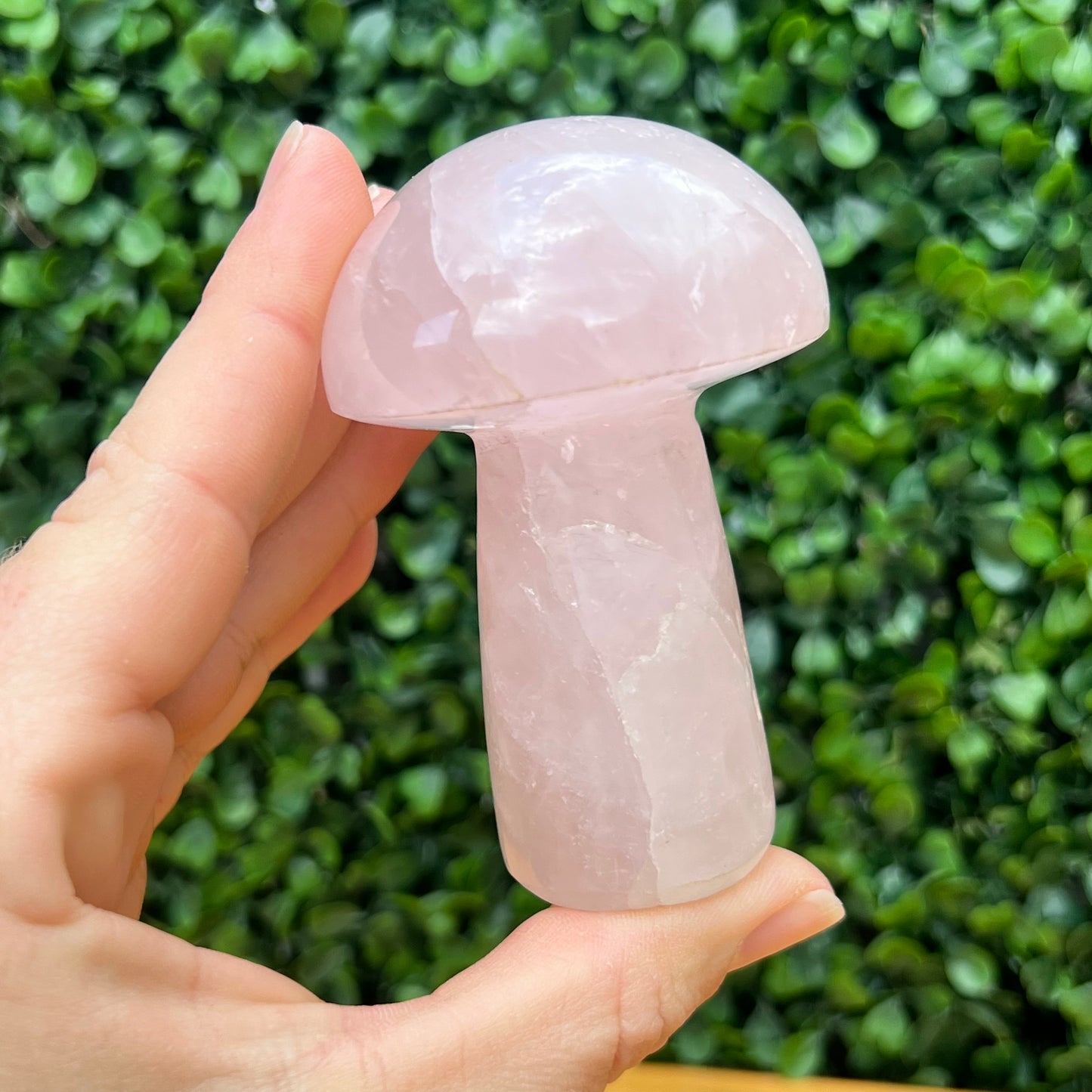 Rose Quartz Mushroom