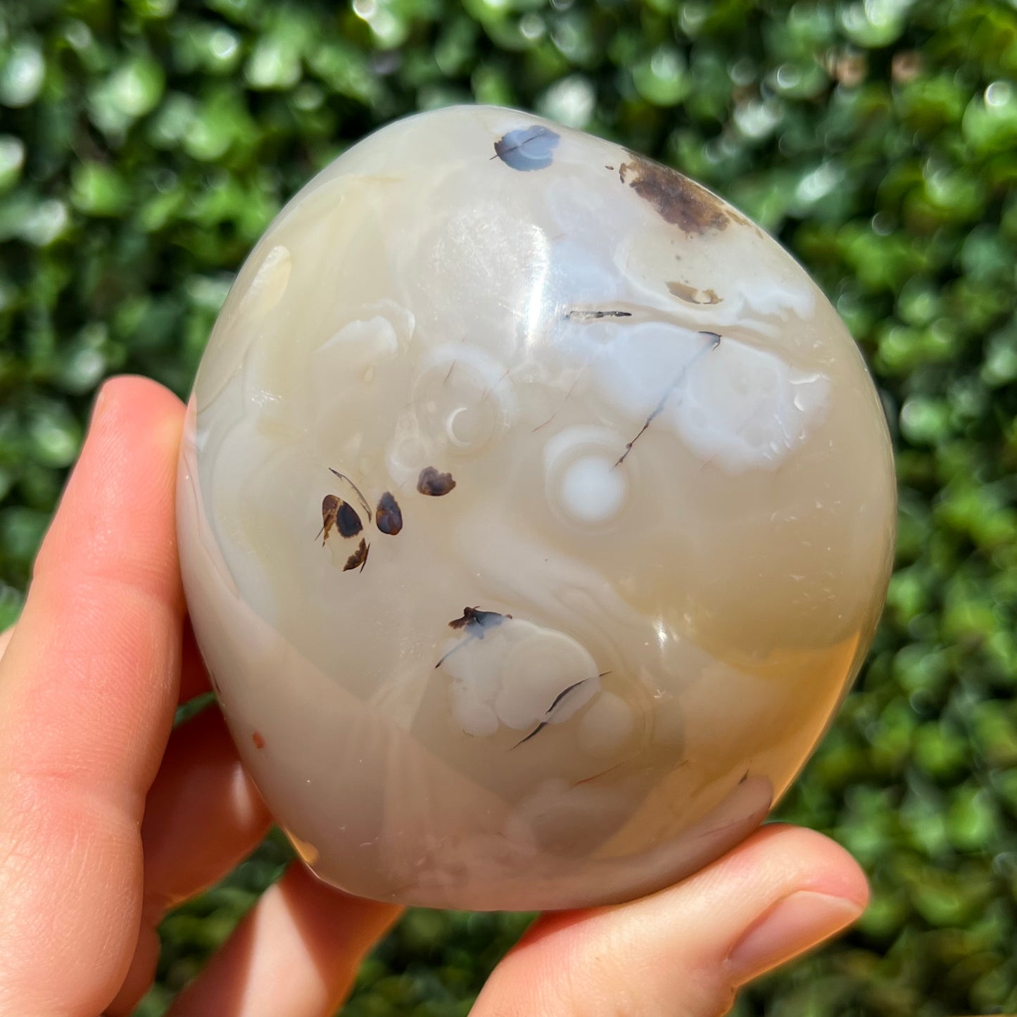 Agate Free Form