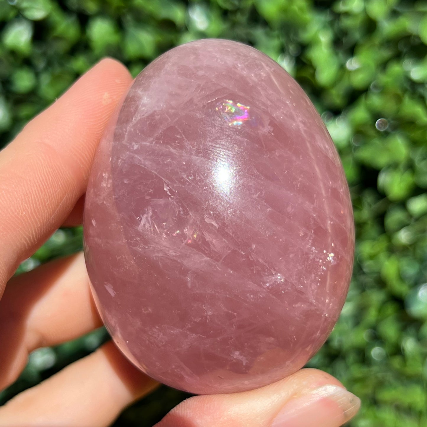 Rose Quartz Egg