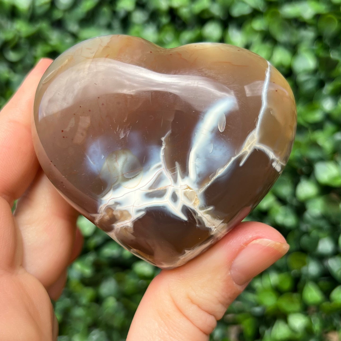 Orca Agate Heart