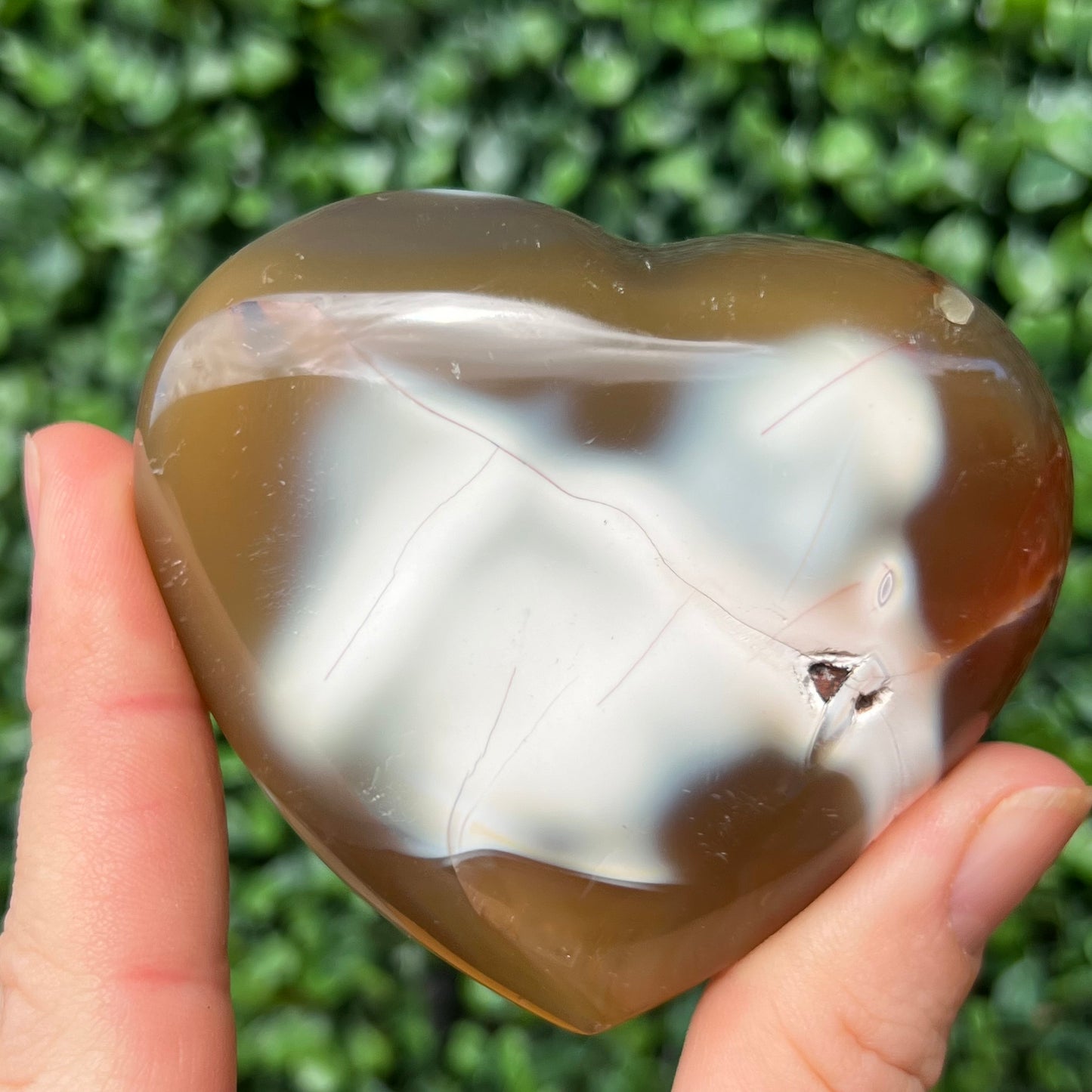 Orca Agate Heart