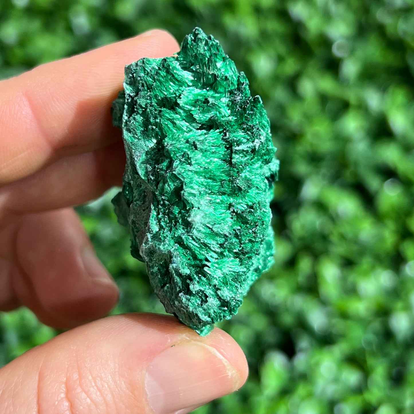 Fibrous Malachite Specimen