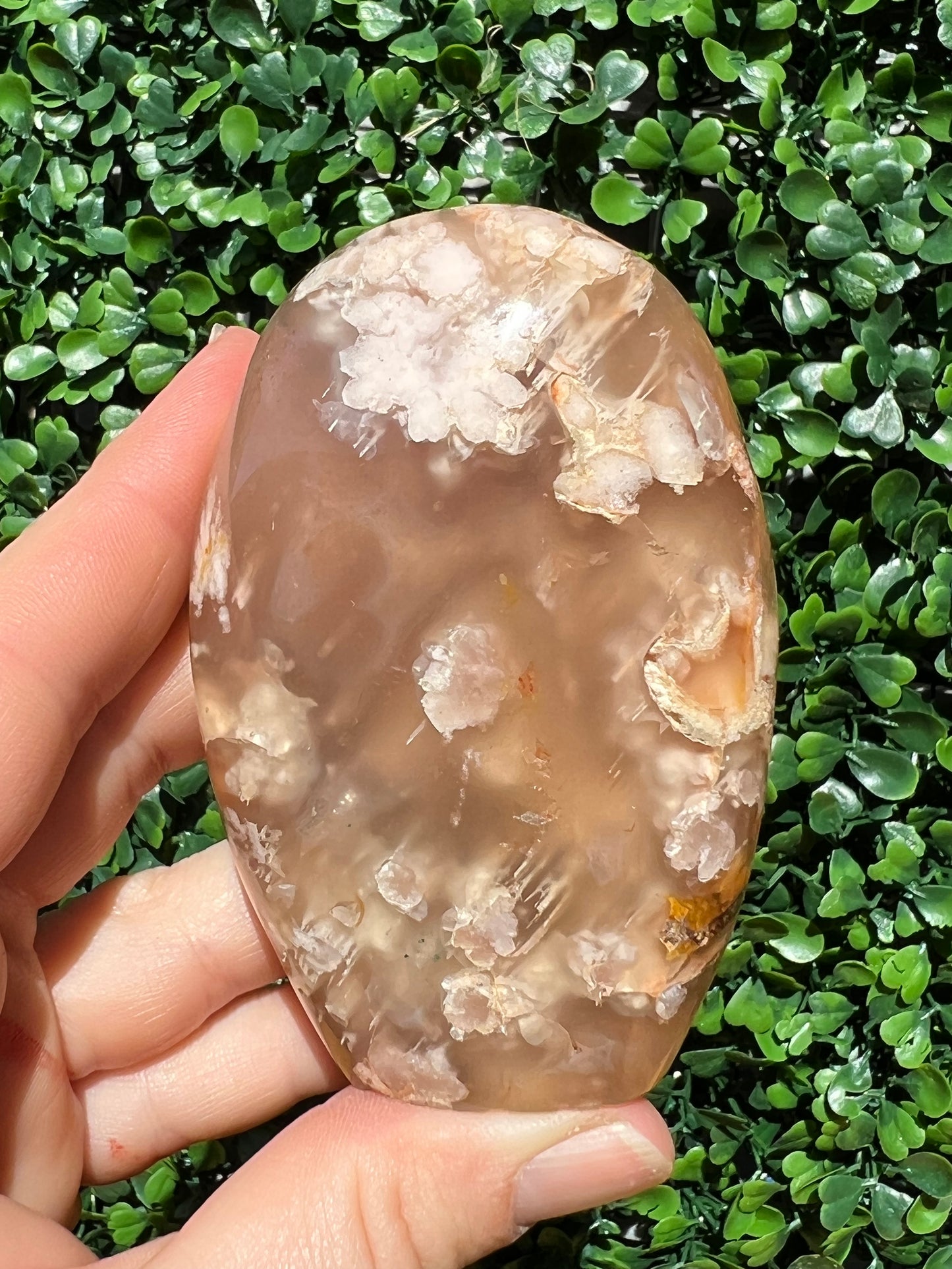 Flower Agate Free Form