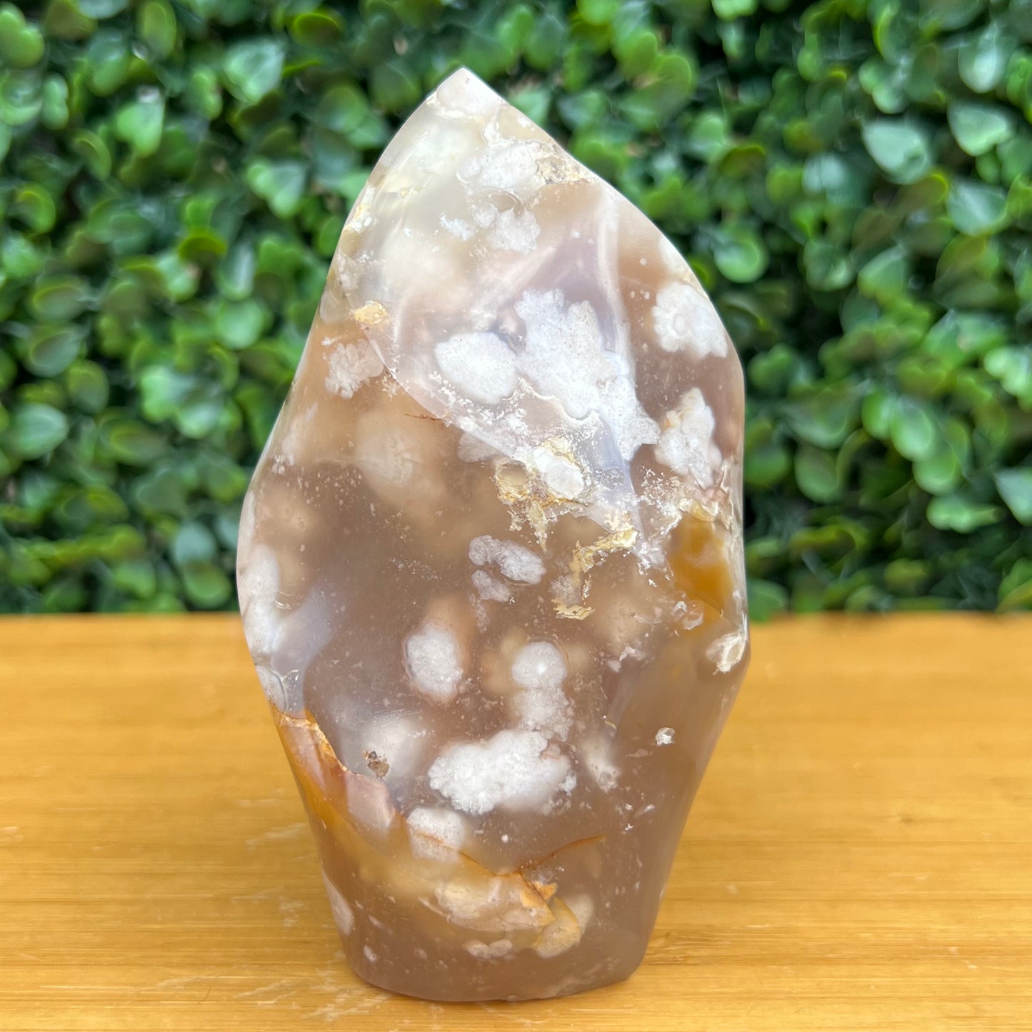 Flower Agate Flame