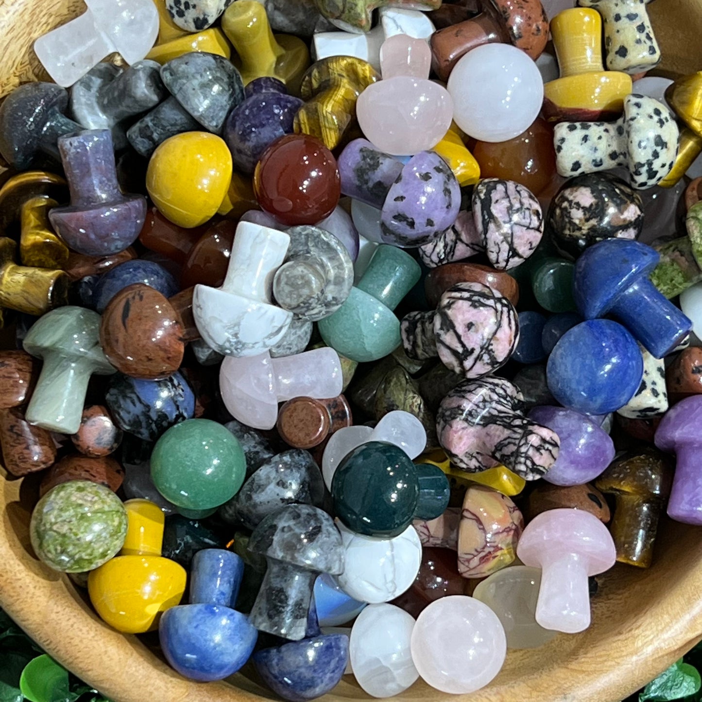 LUCKY DIP MUSHROOMS!!