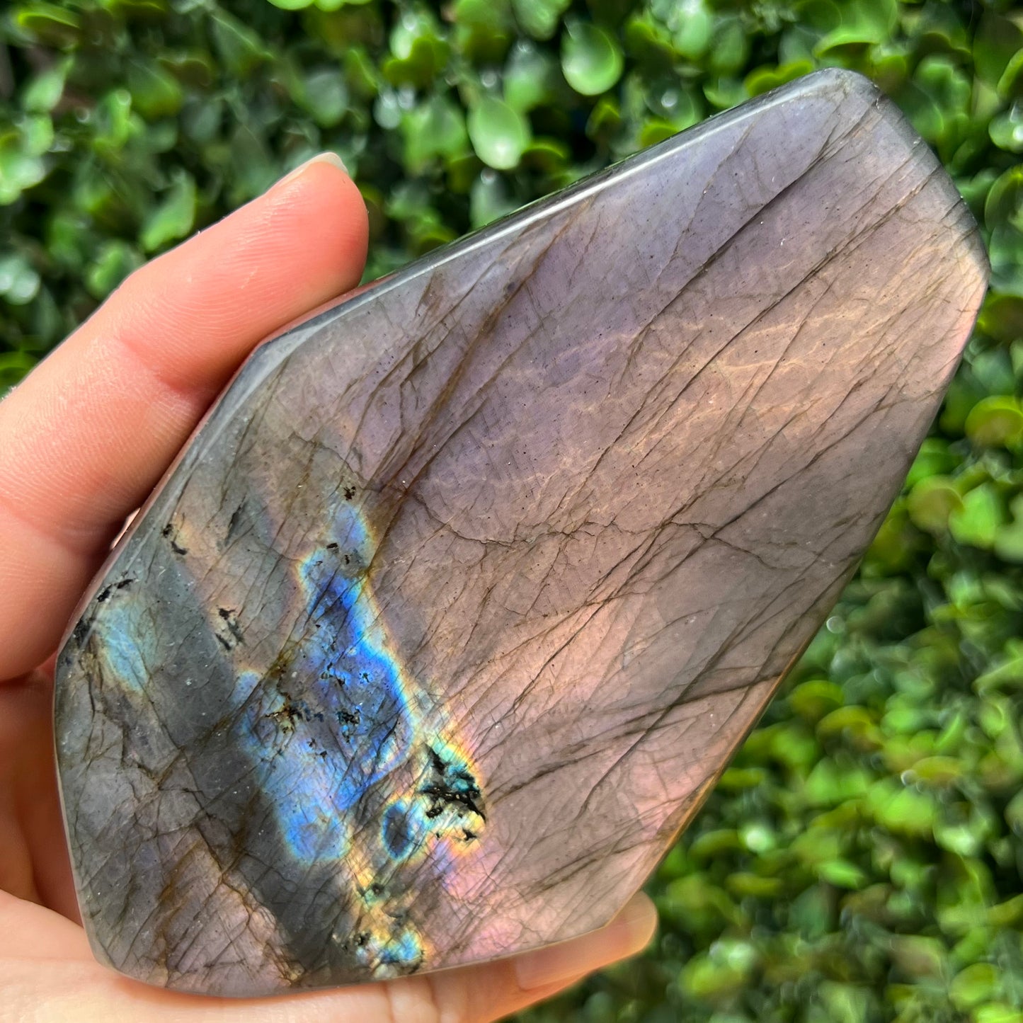 Labradorite Free Form