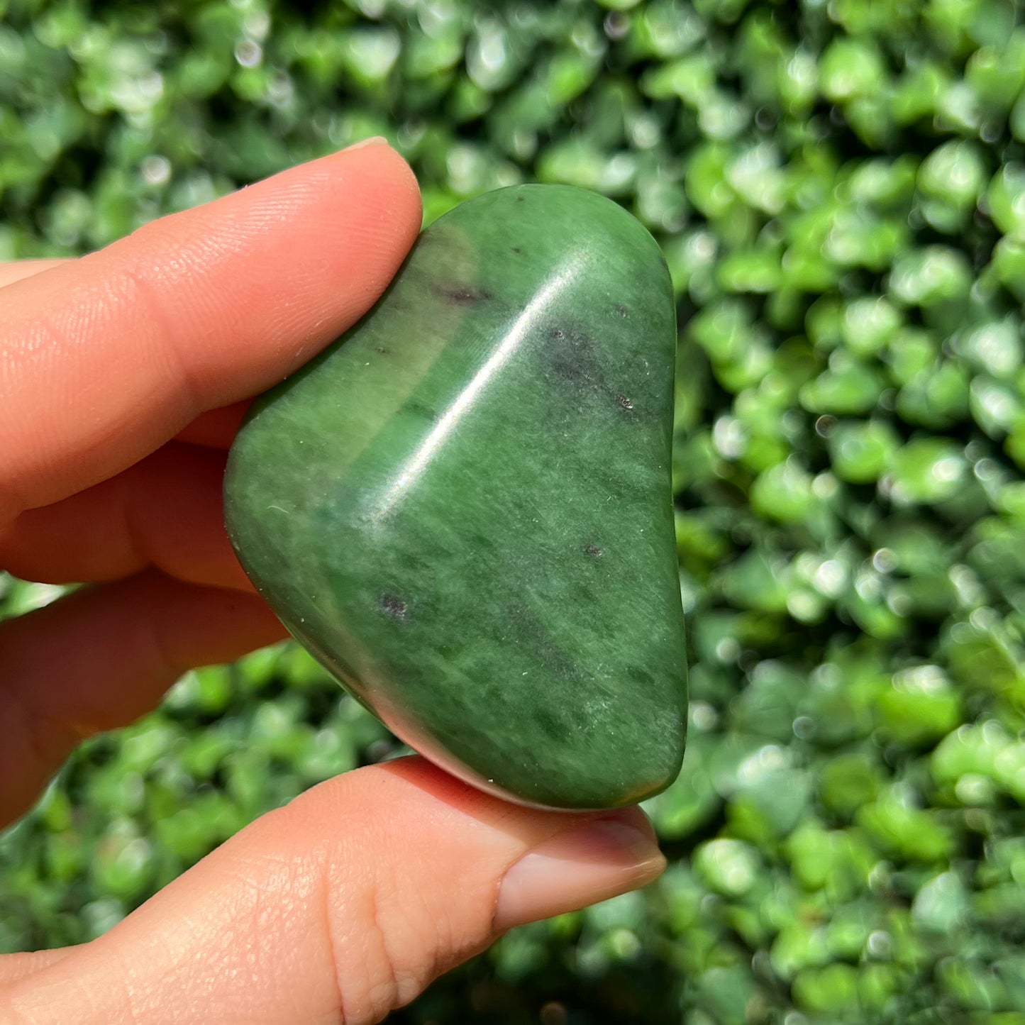 Jade Palm Stone