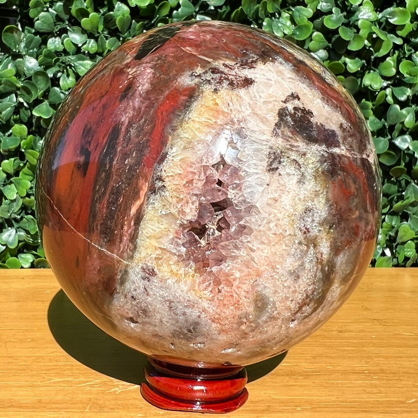 Petrified Wood Sphere
