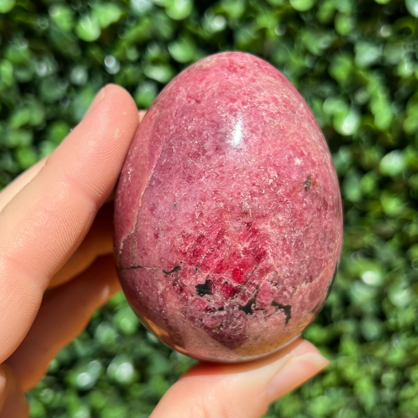 Rhodonite Egg