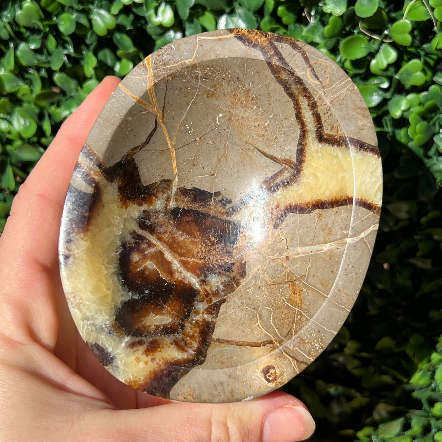Septarian Yellow Calcite Bowl