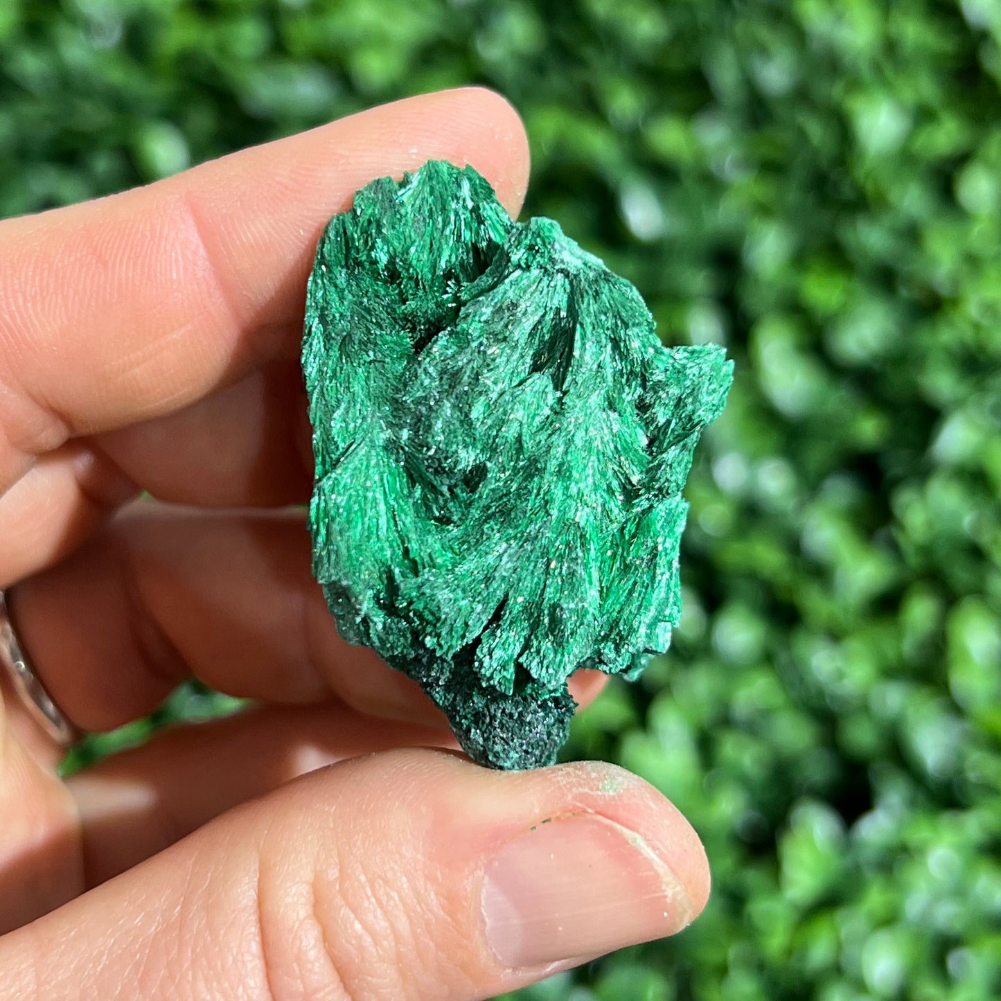Fibrous Malachite Specimen