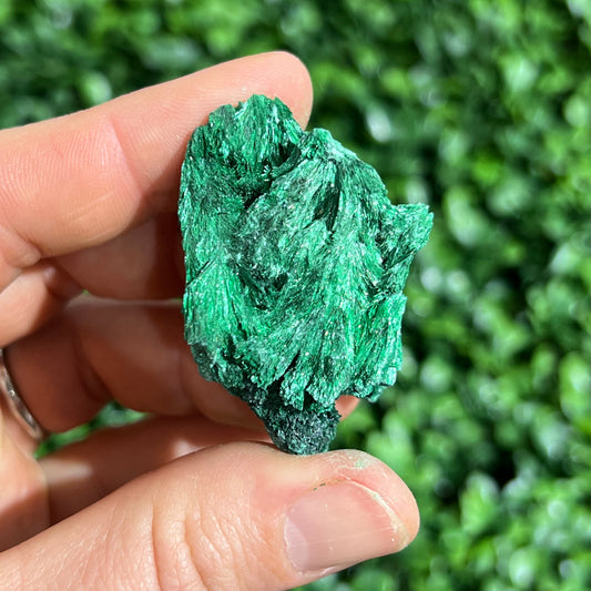 Fibrous Malachite Specimen