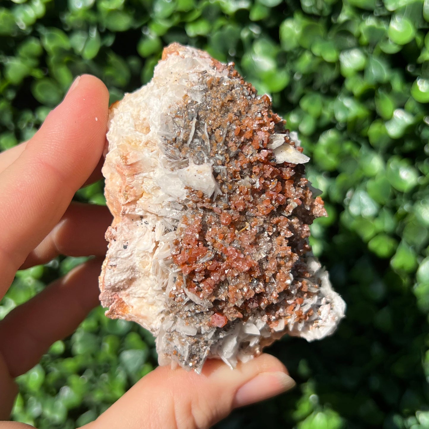 Vanadinite Specimen