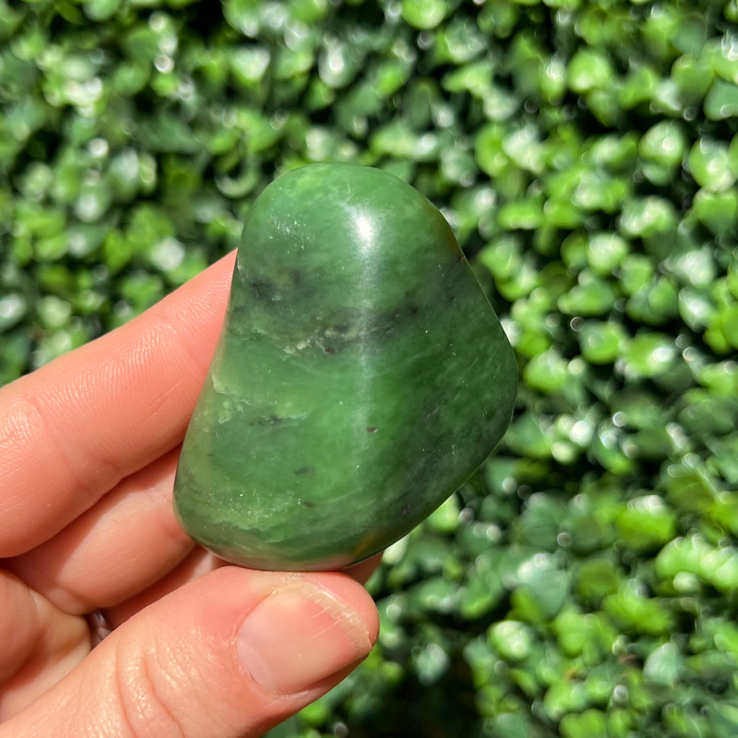 Jade Palm Stone