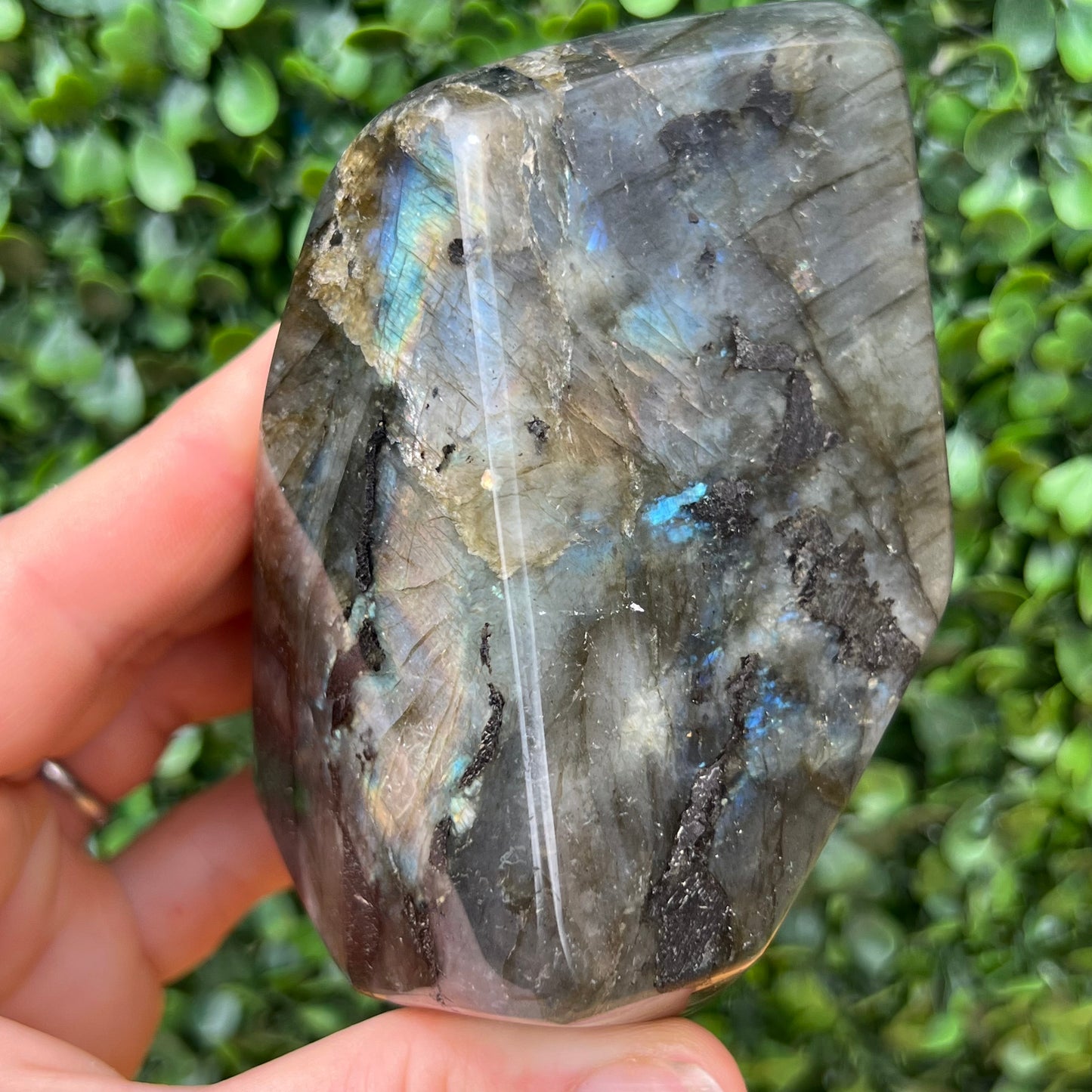 Labradorite Free Form
