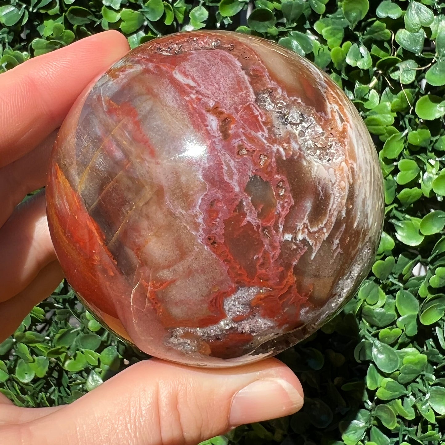 Petrified Wood Sphere