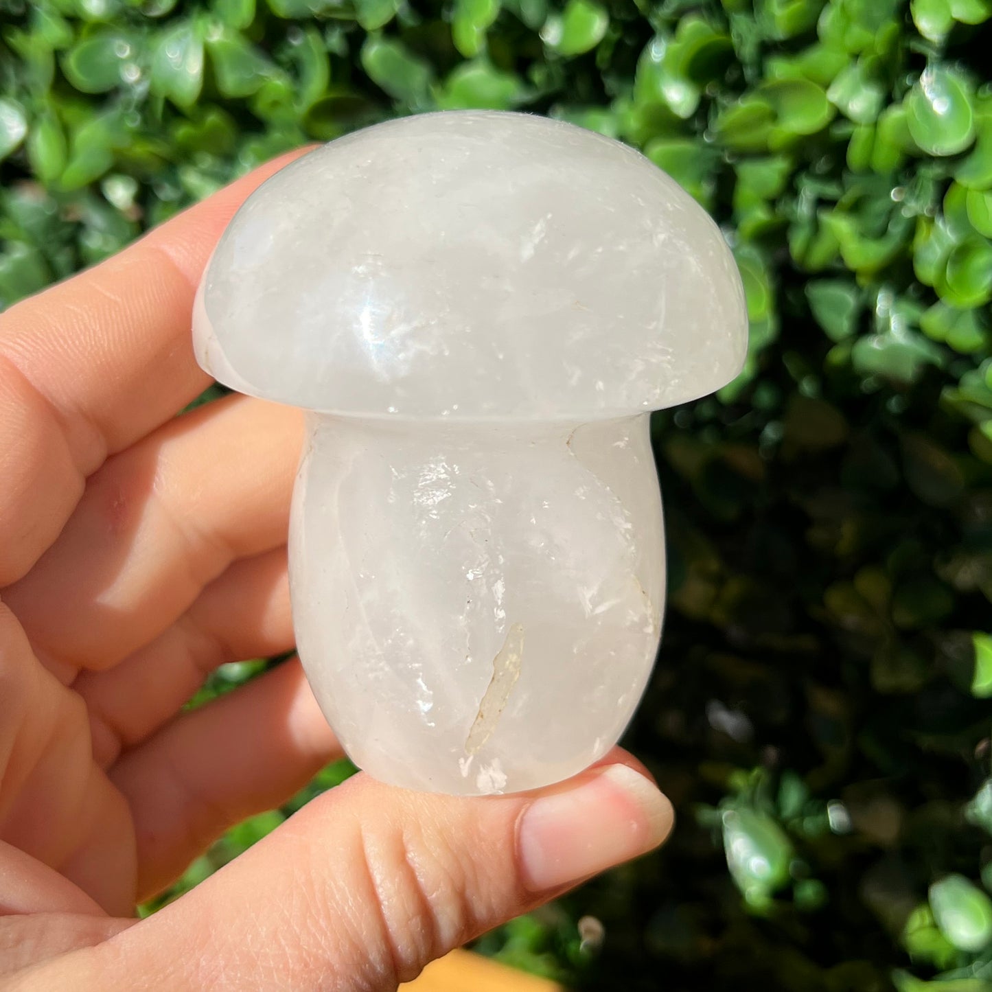Snow Quartz Mushroom