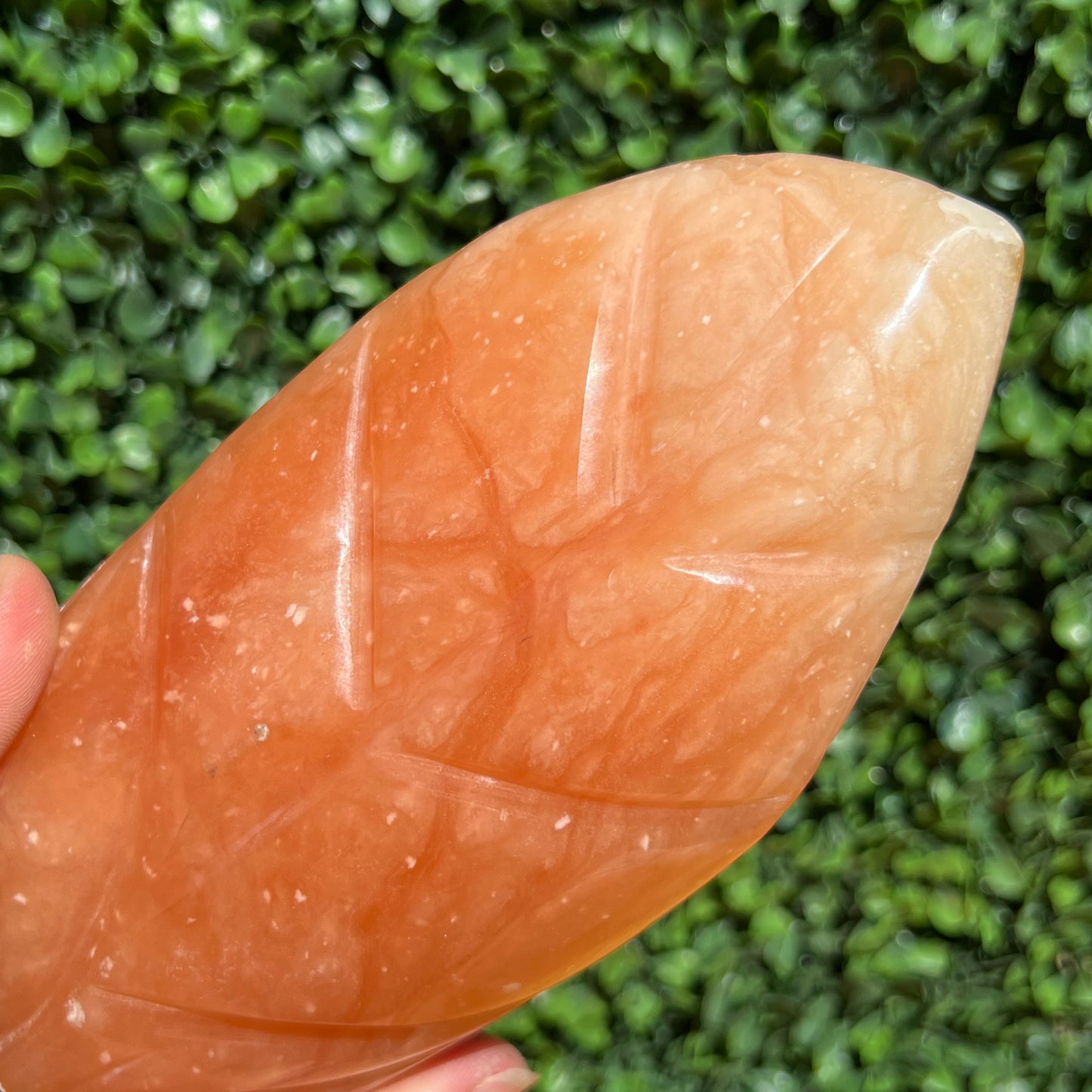 Tangerine Calcite Leaf