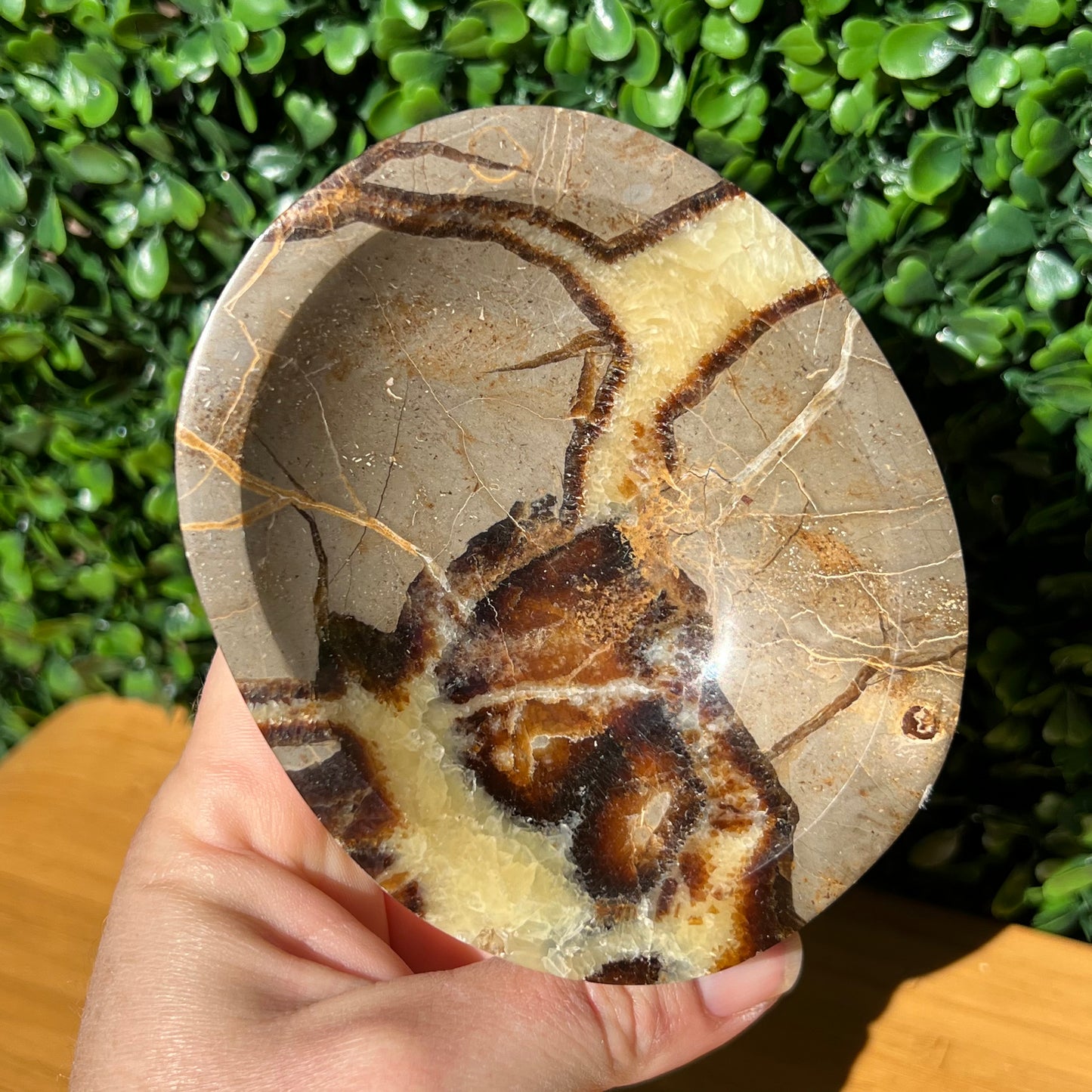 Septarian Yellow Calcite Bowl