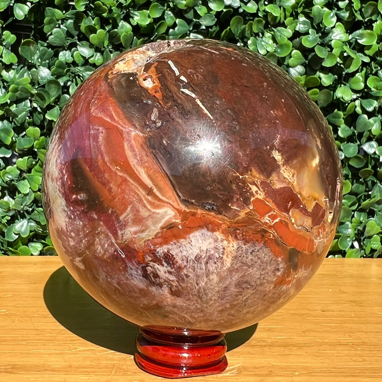 Petrified Wood Sphere