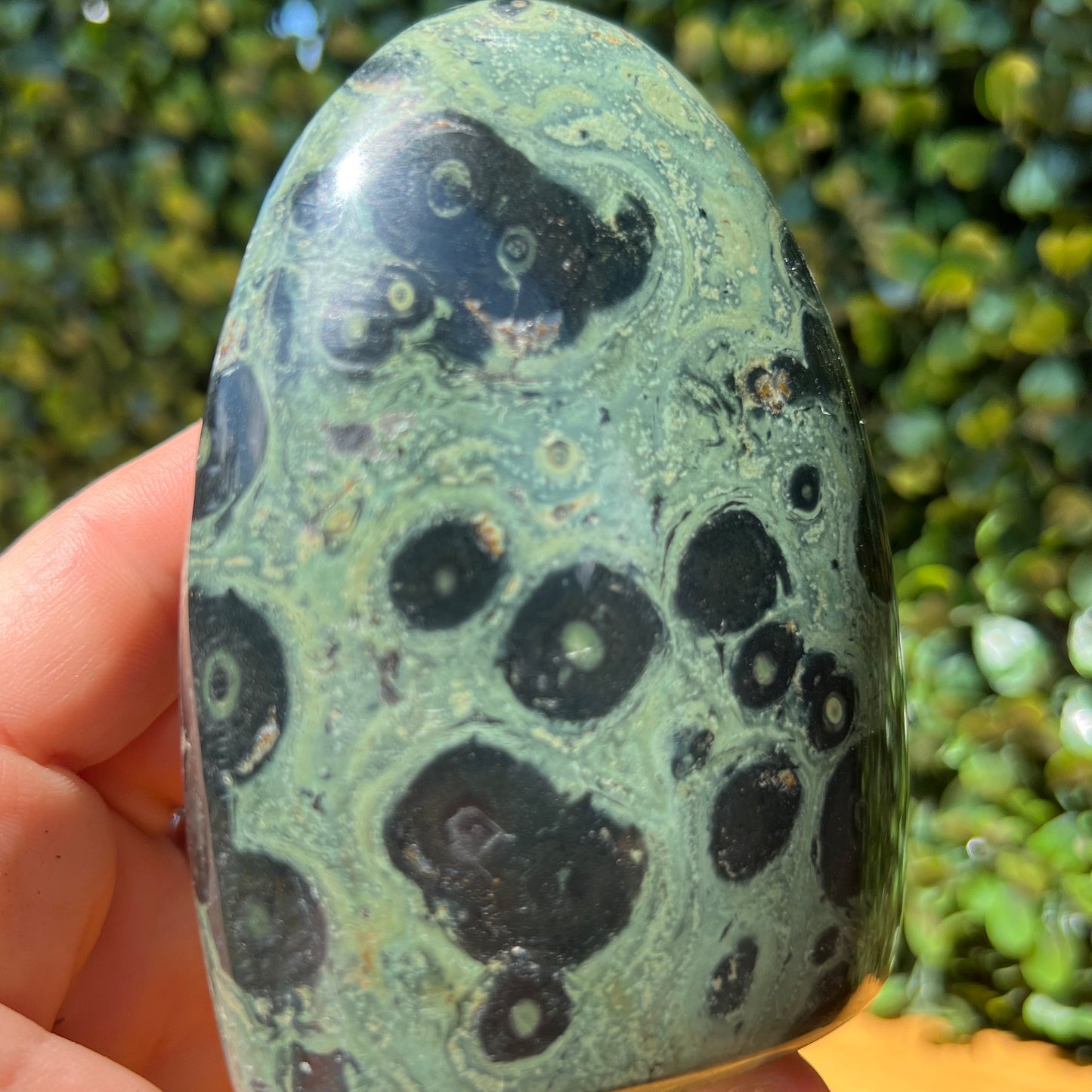 Kambaba Jasper Free Form