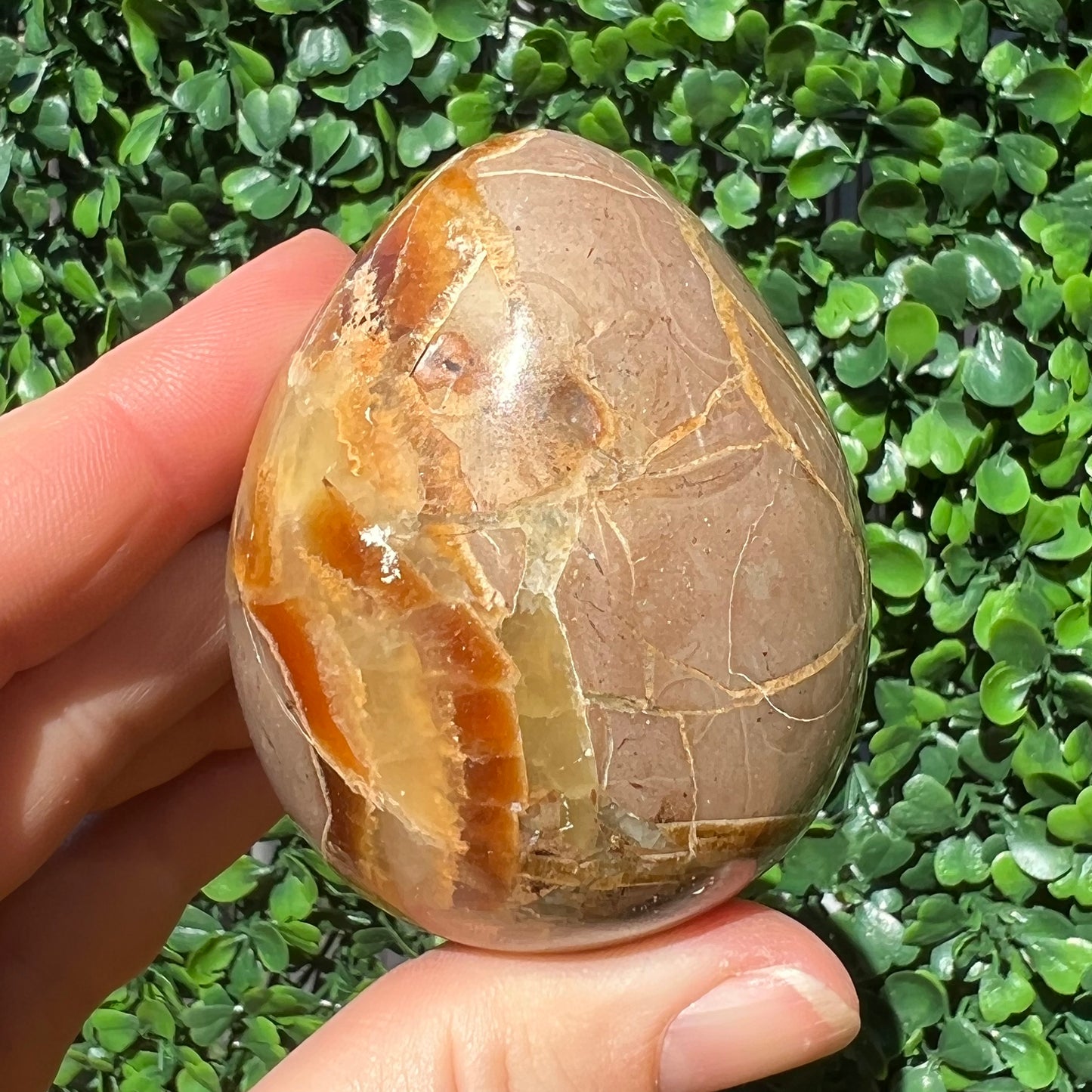 Septarian Yellow Calcite Egg