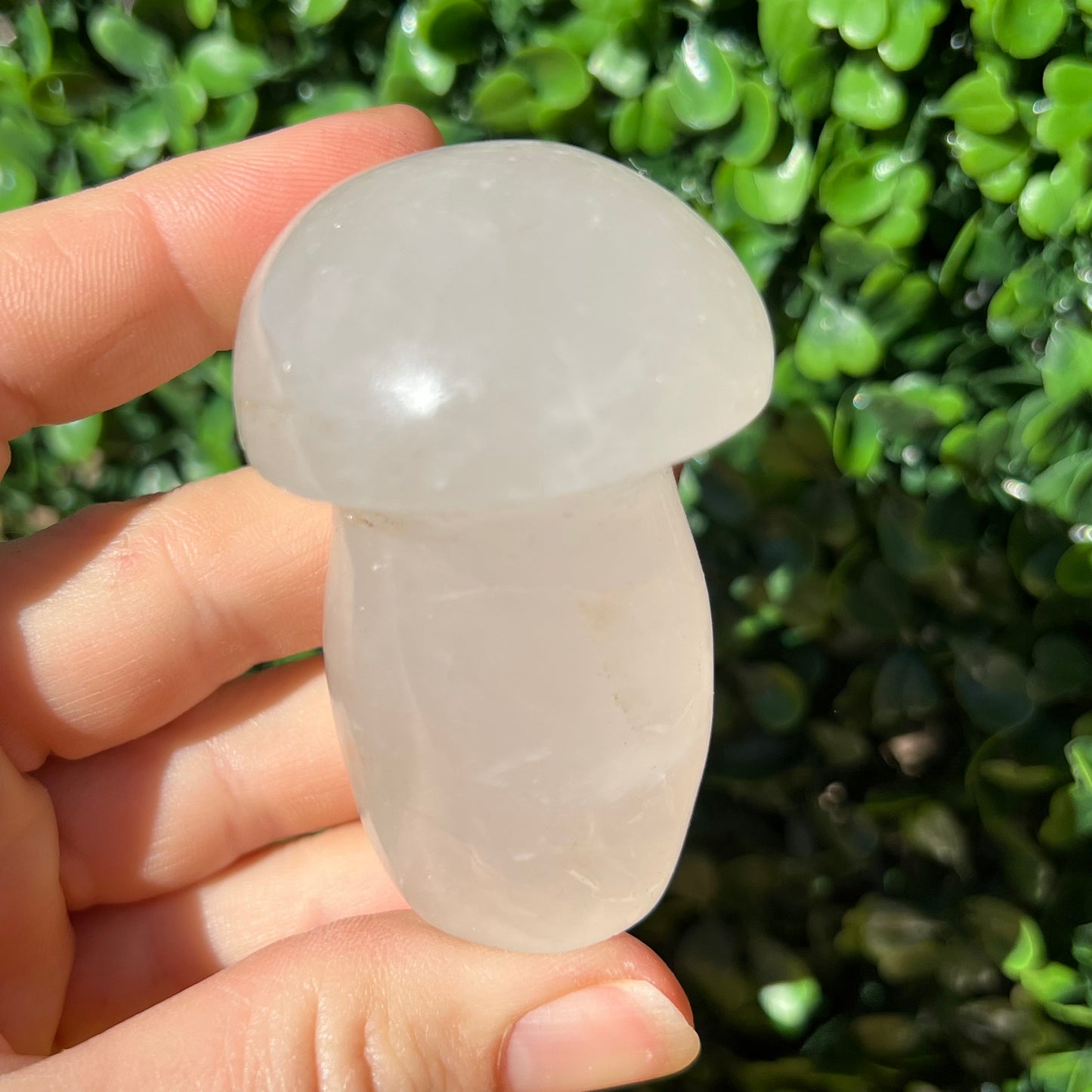 Snow Quartz Mushroom